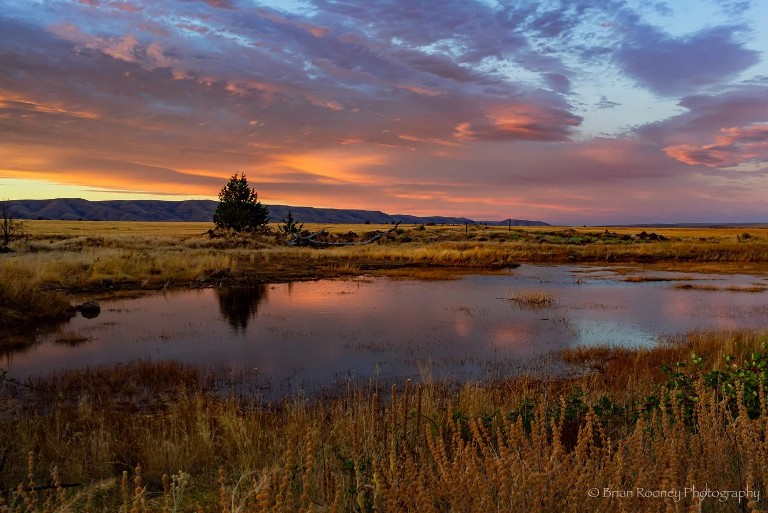 Rural Oregon Print # 04