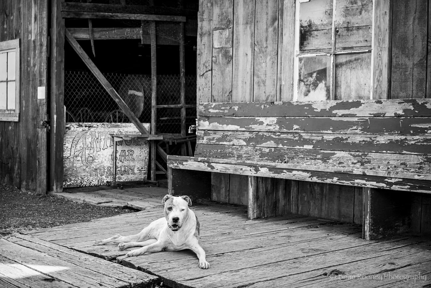 Rural Oregon Print # 30