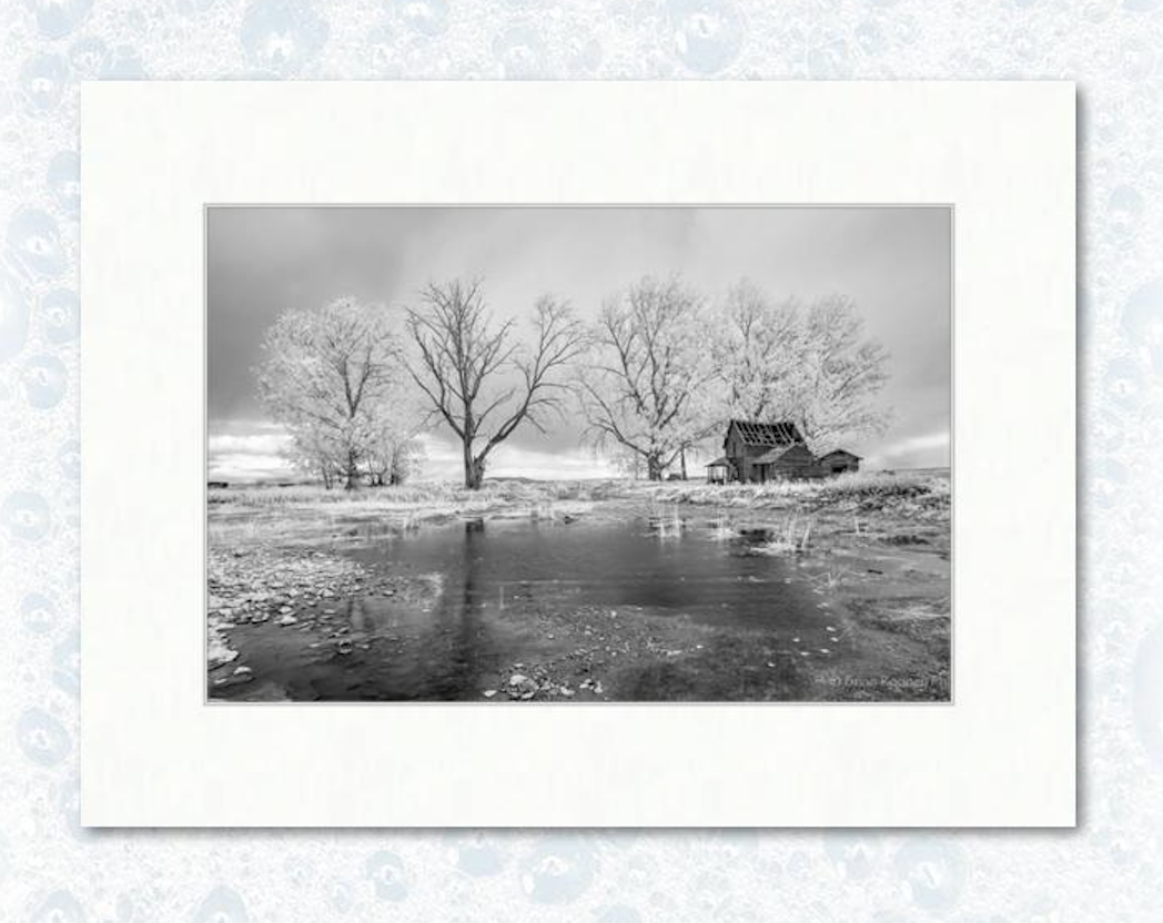 12" x 18" photograph on 18" x 24" matting