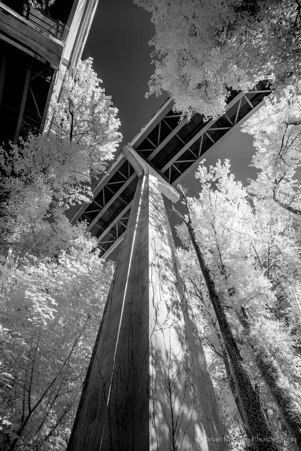 Kiewit OC Project-2.jpg