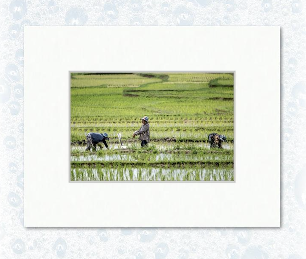 6" x 9" on 11" x 14" example matting