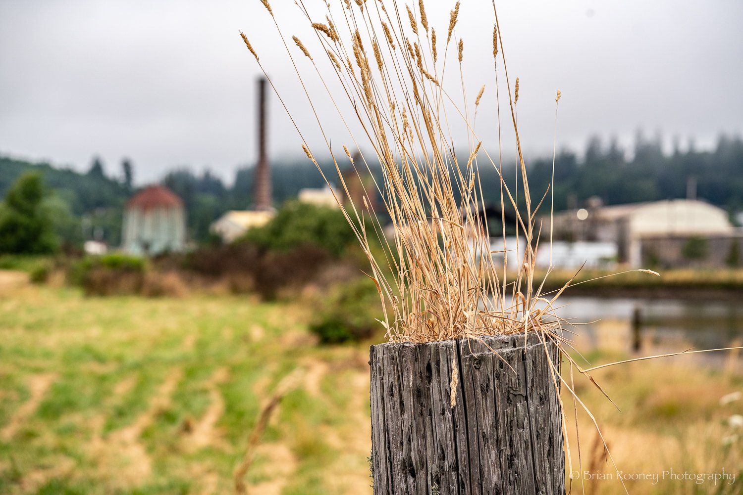 Rural Oregon Print # 20