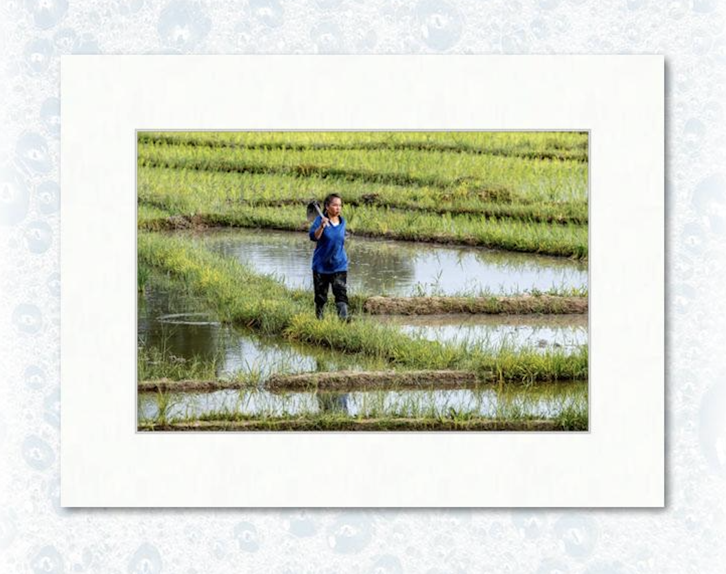 12” x 18” on 18” x 24” example matting