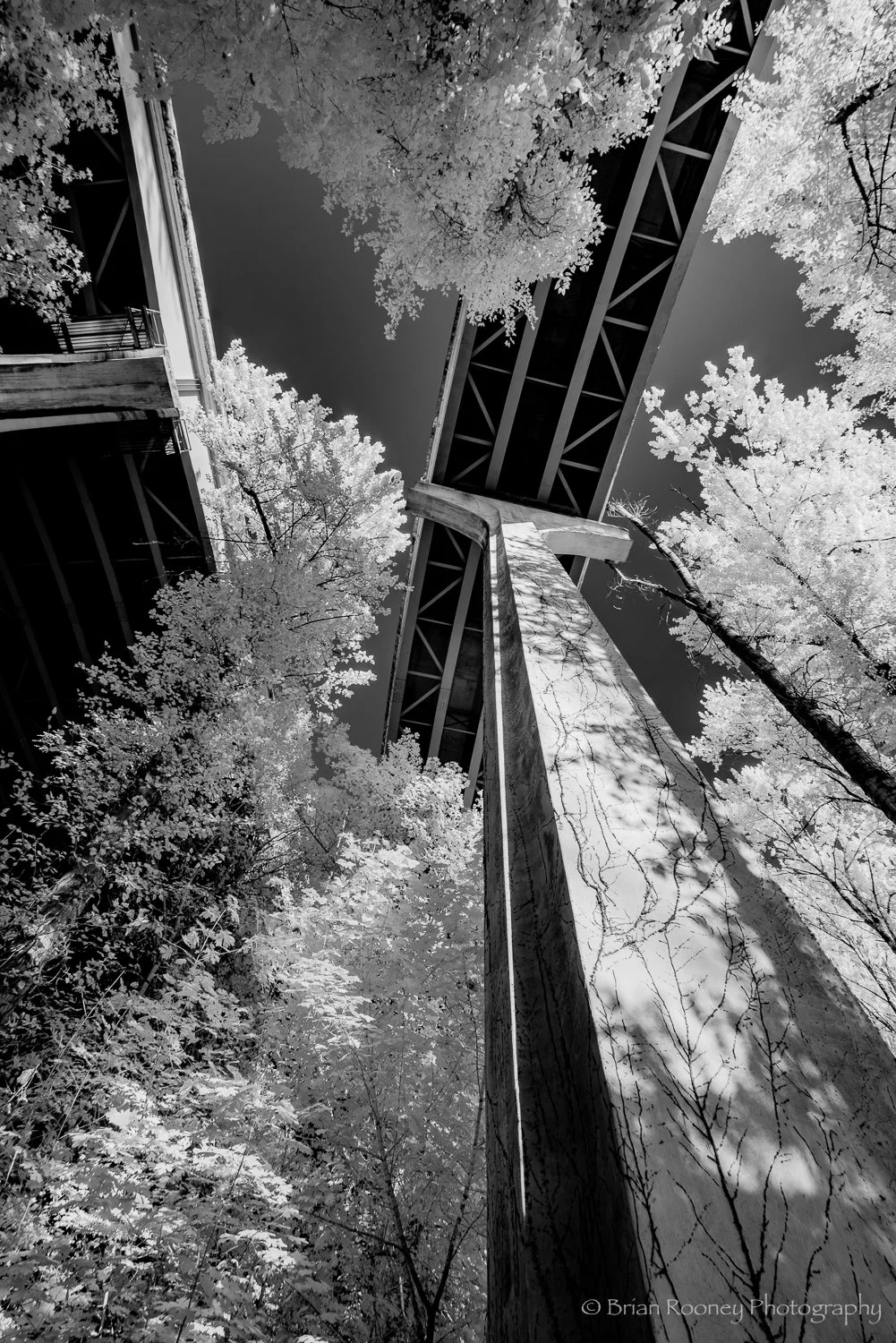 Kiewit OC Project-3.jpg