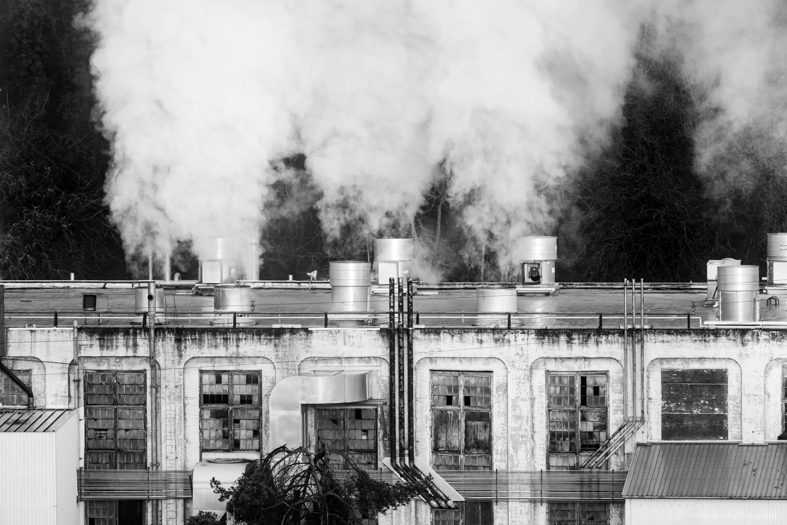 Willamette Falls and Mill Print # 156