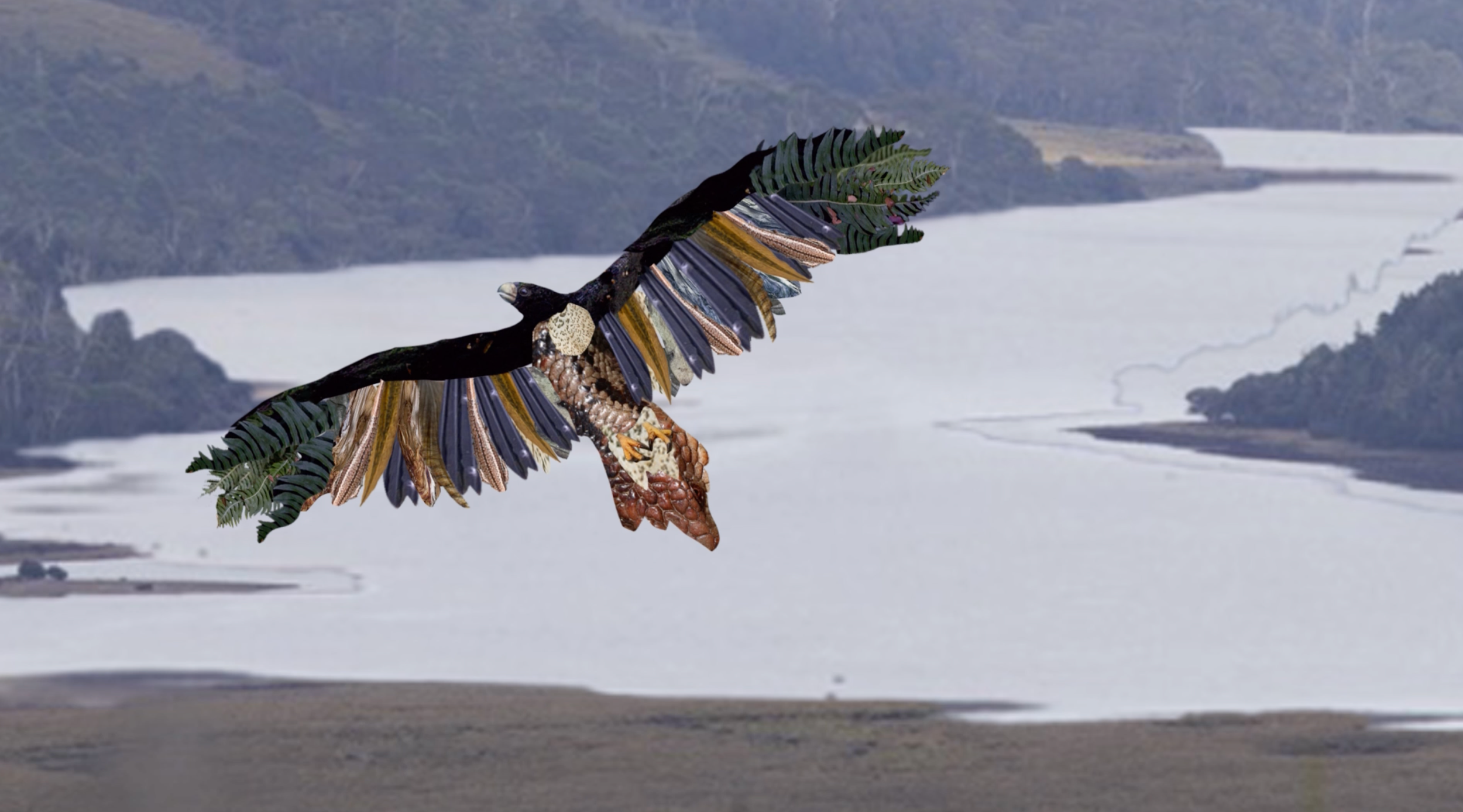 eagle.png