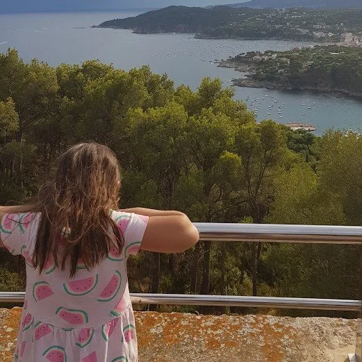 Hazel looking into the distance.jpg