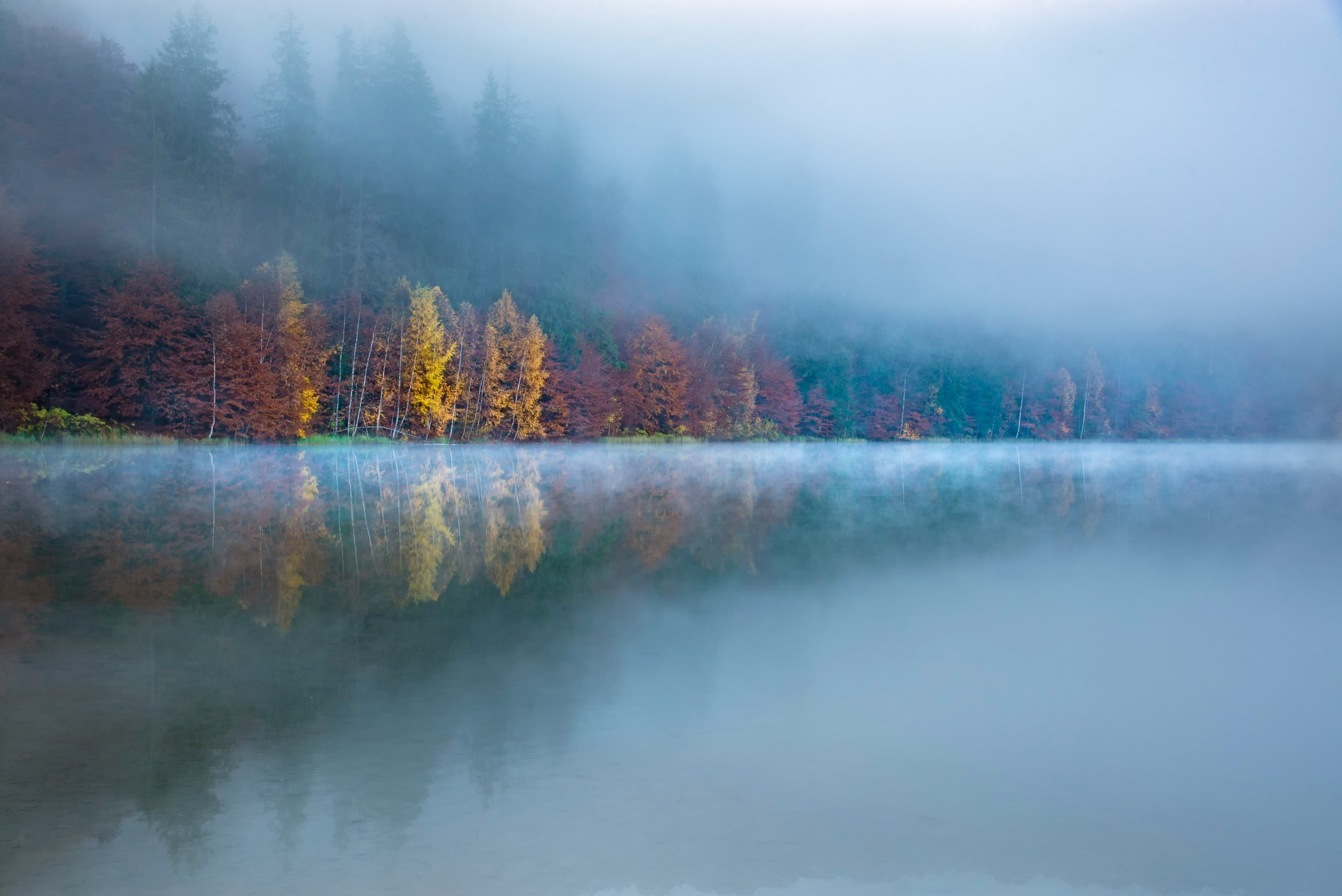 Misty lake with autumn trees reflected in calm water, symbolising rest and stillness for highly sensitive women