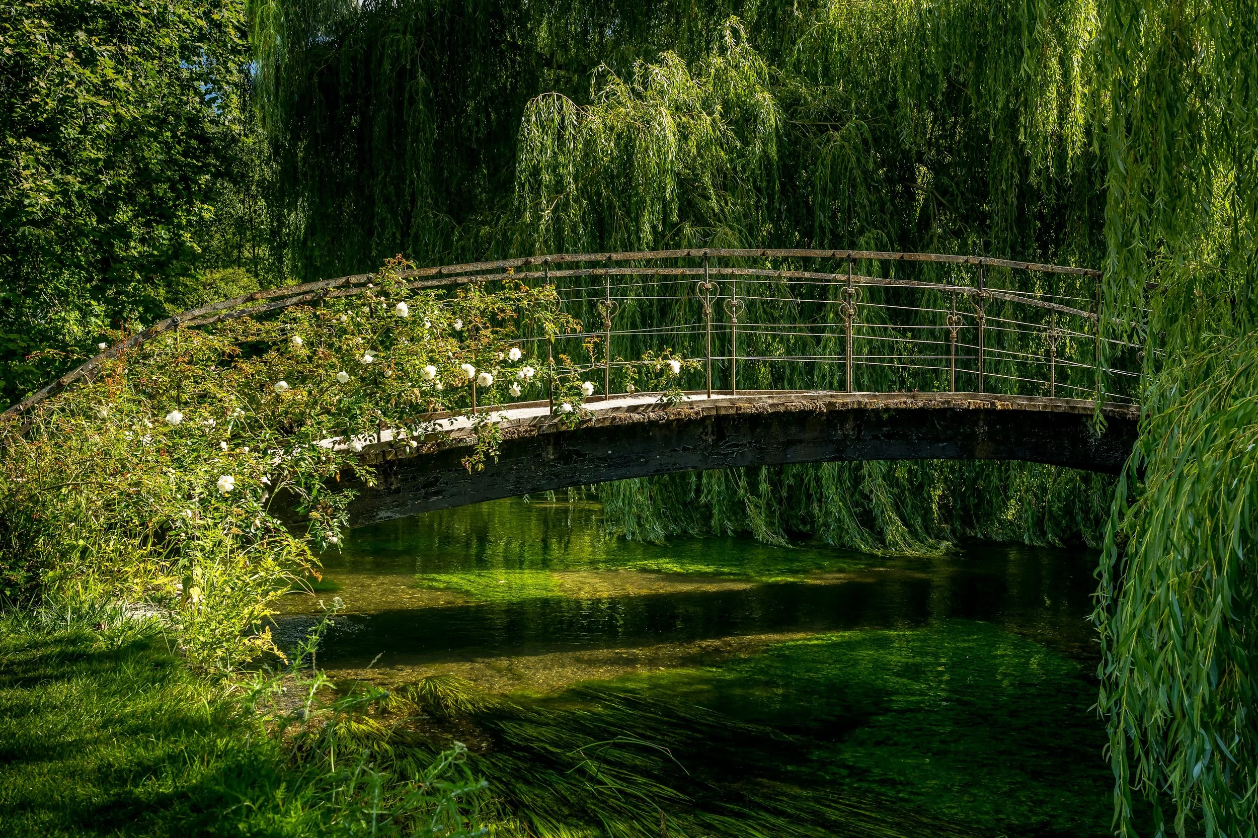 Arched garden bridge surrounded by willow trees, symbolising a gentle path through Hakomi therapy