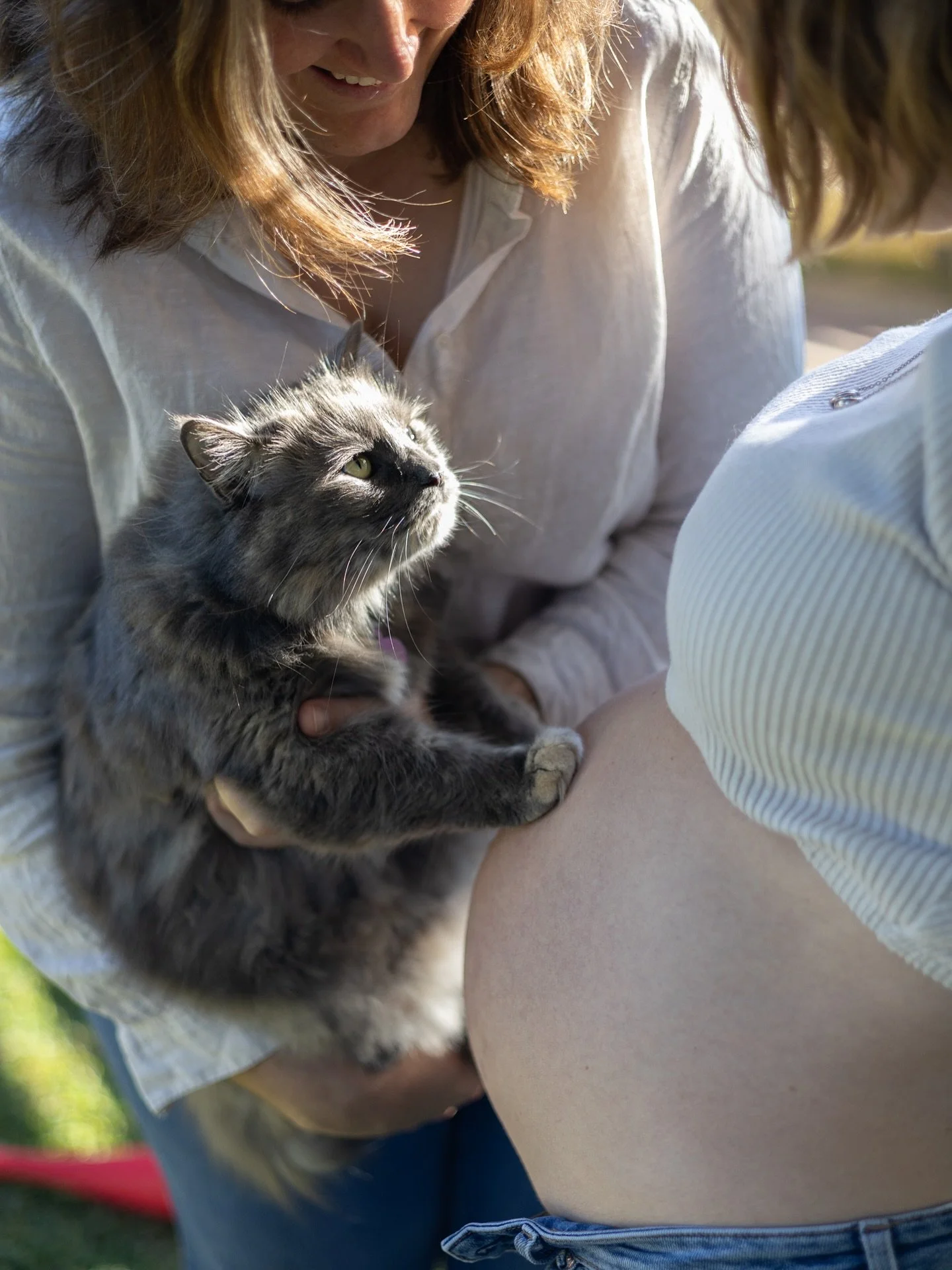 Was Pepper the real star of the show at yesterday’s maternity family session?? ππ₯°π₯° 
#sunshinecoast #sunshinecoastphotographer #maternityphotography