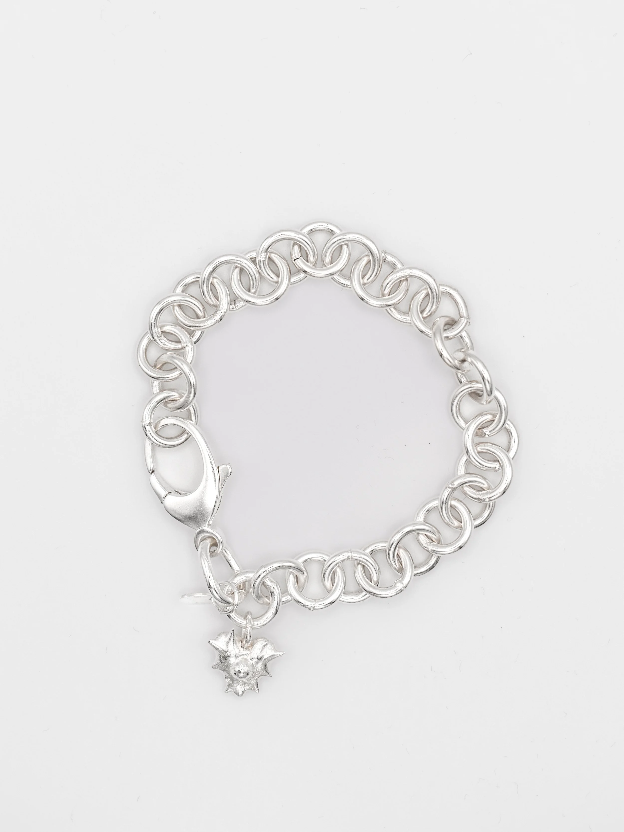 Heart Charm Bracelet (1-of-1)