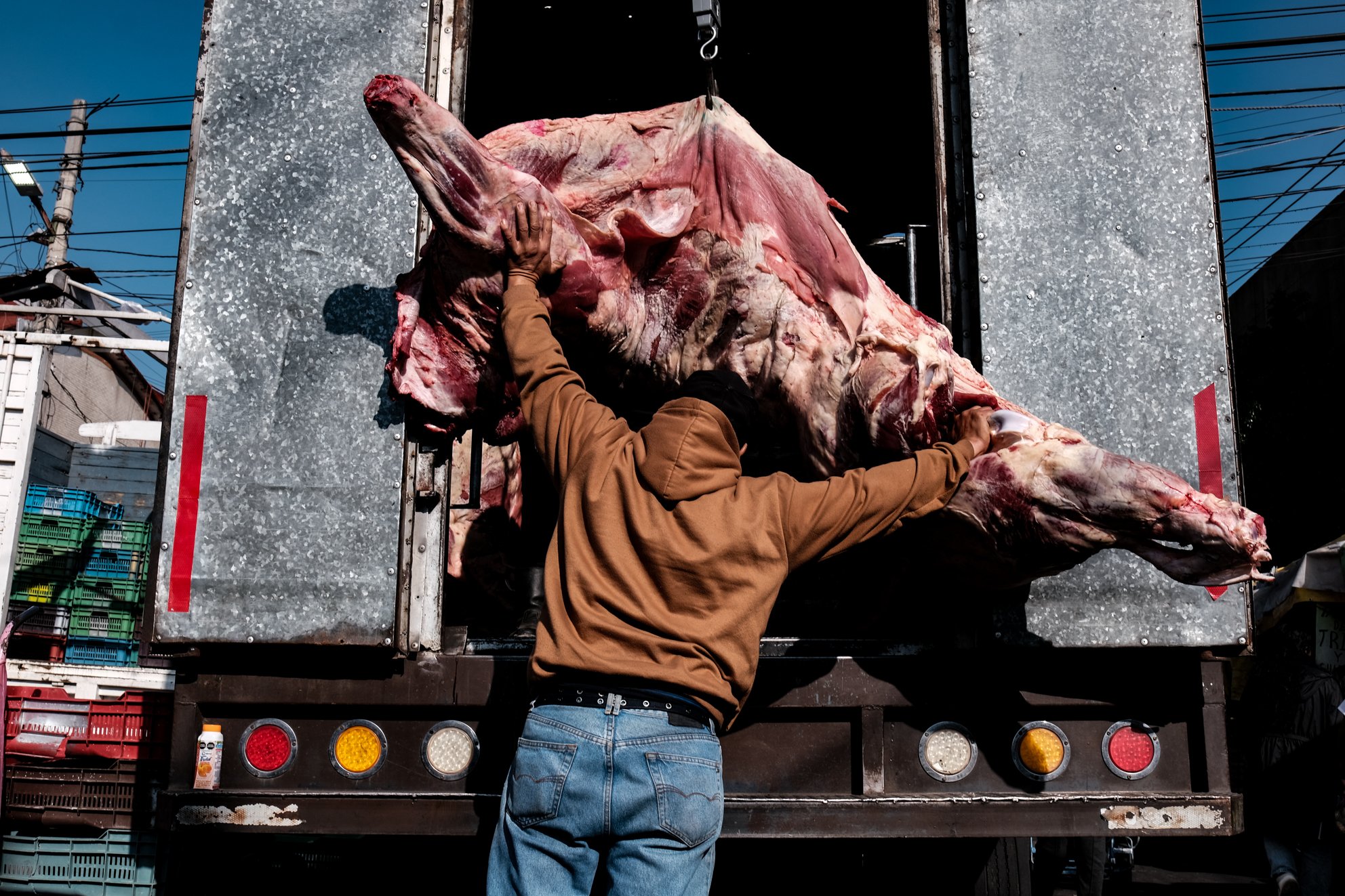 Sunny Quintero12.JPG