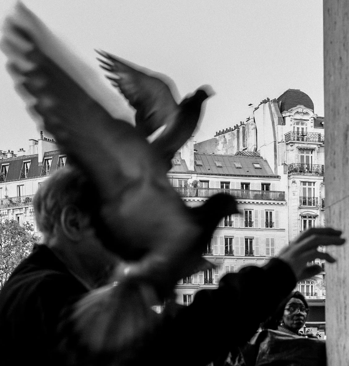 Vincenzo Barone 12.jpg