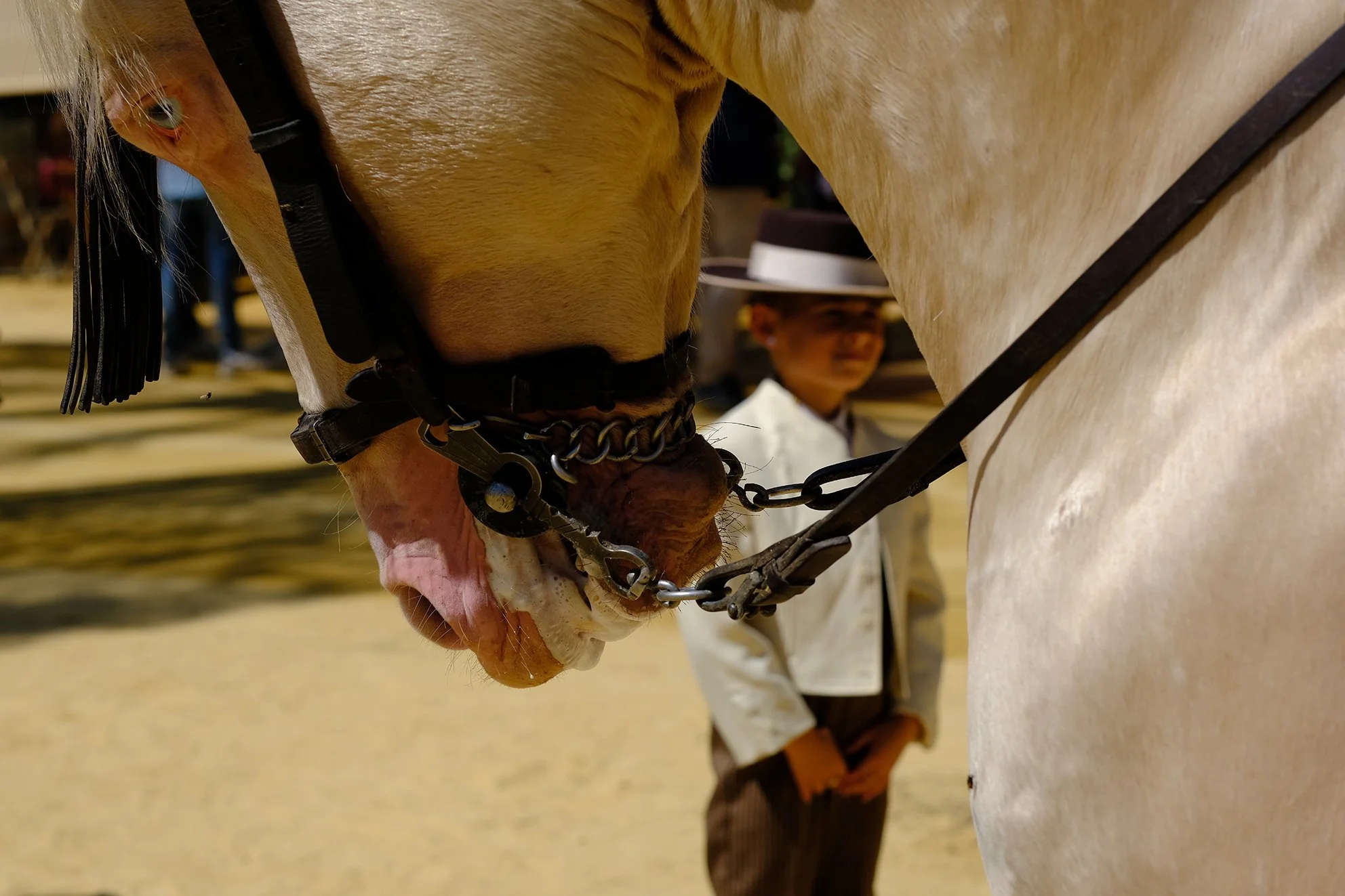 Stéphane Kyndt29.JPG