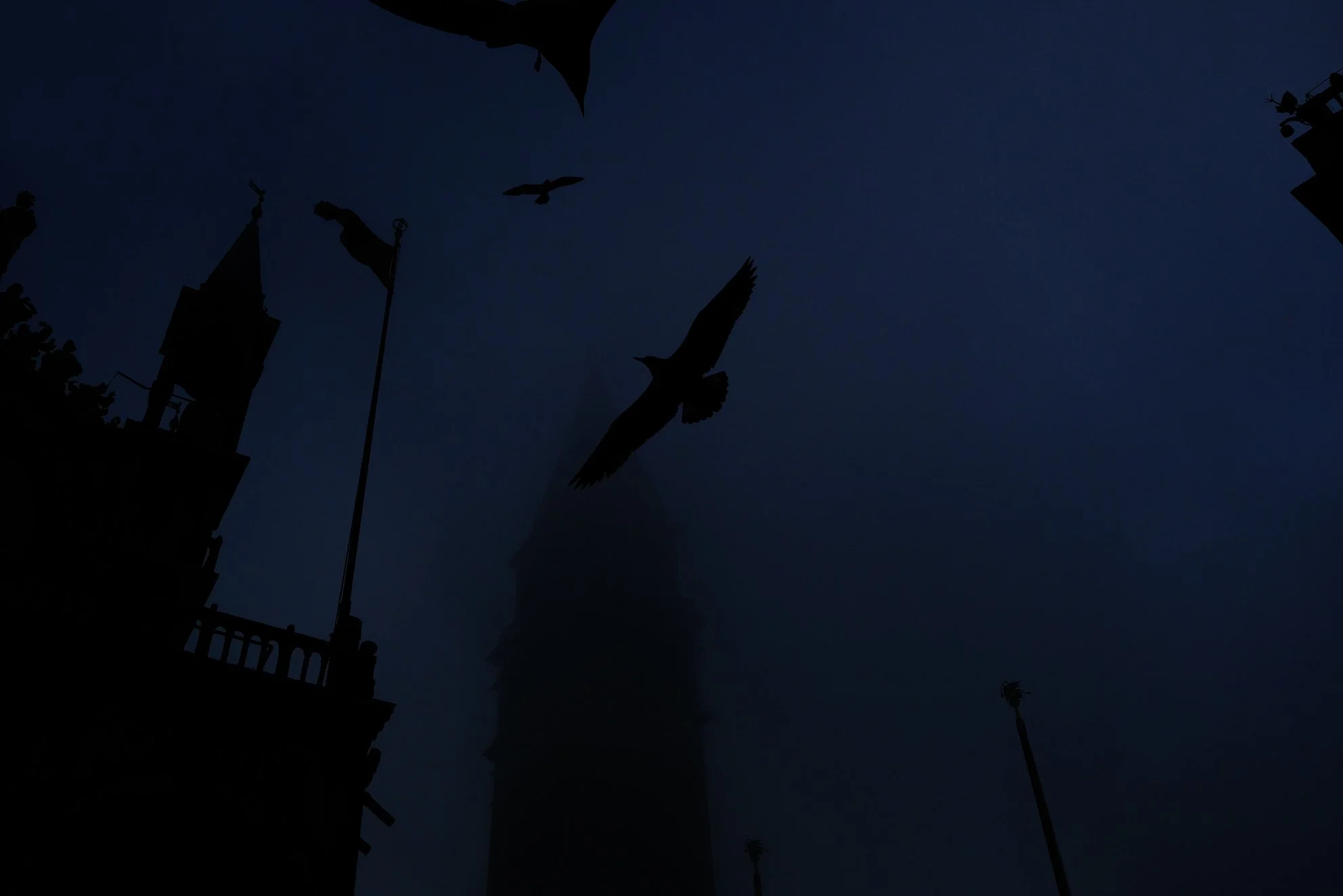 Stéphane Kyndt12.JPG