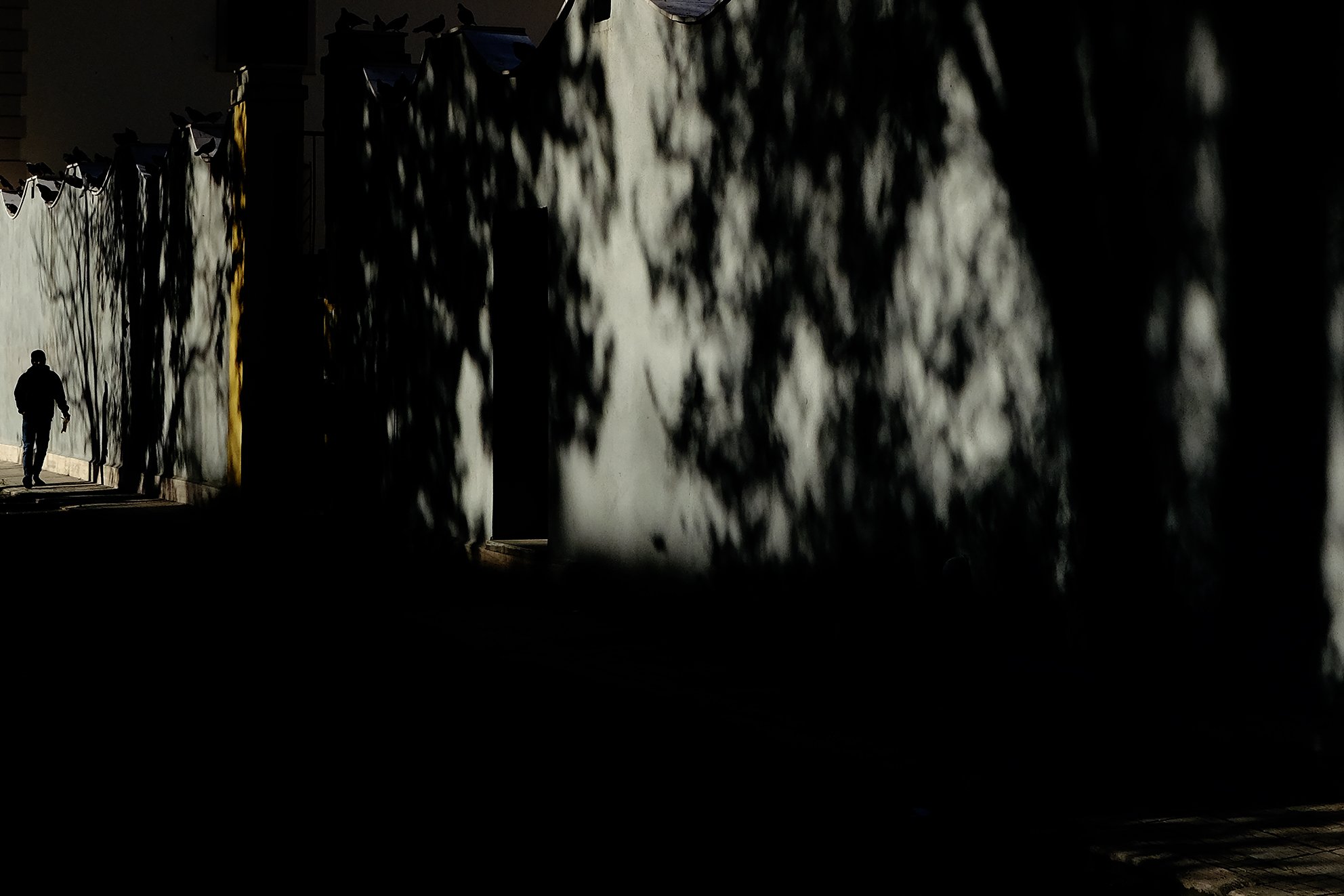 Stéphane Kyndt51.JPG