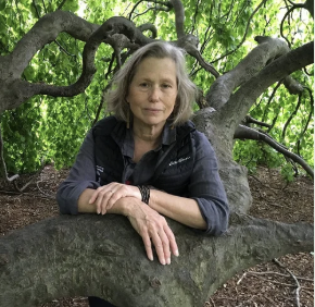 Arts & Humanities Trapper Creek Presents a Meet & Greet with Boston Artist and Teacher Diane Fiedler