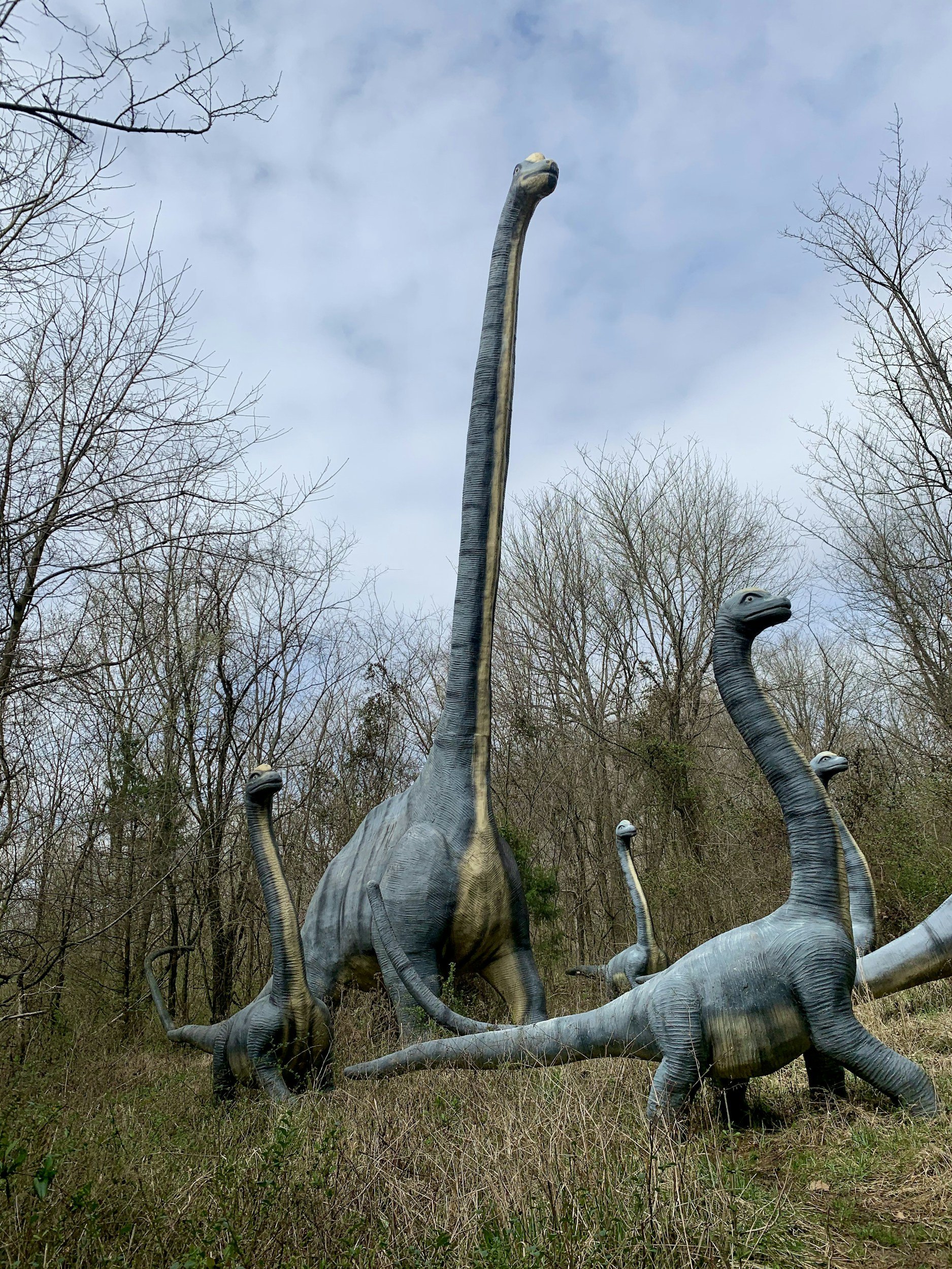 🦴Dino Meet &amp; Greet at Shell Bar! 