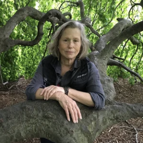 🦴Skulls, Bones, and Big Horn Buttes: Meet Diane Fiedler at Shell Bar (Copy)