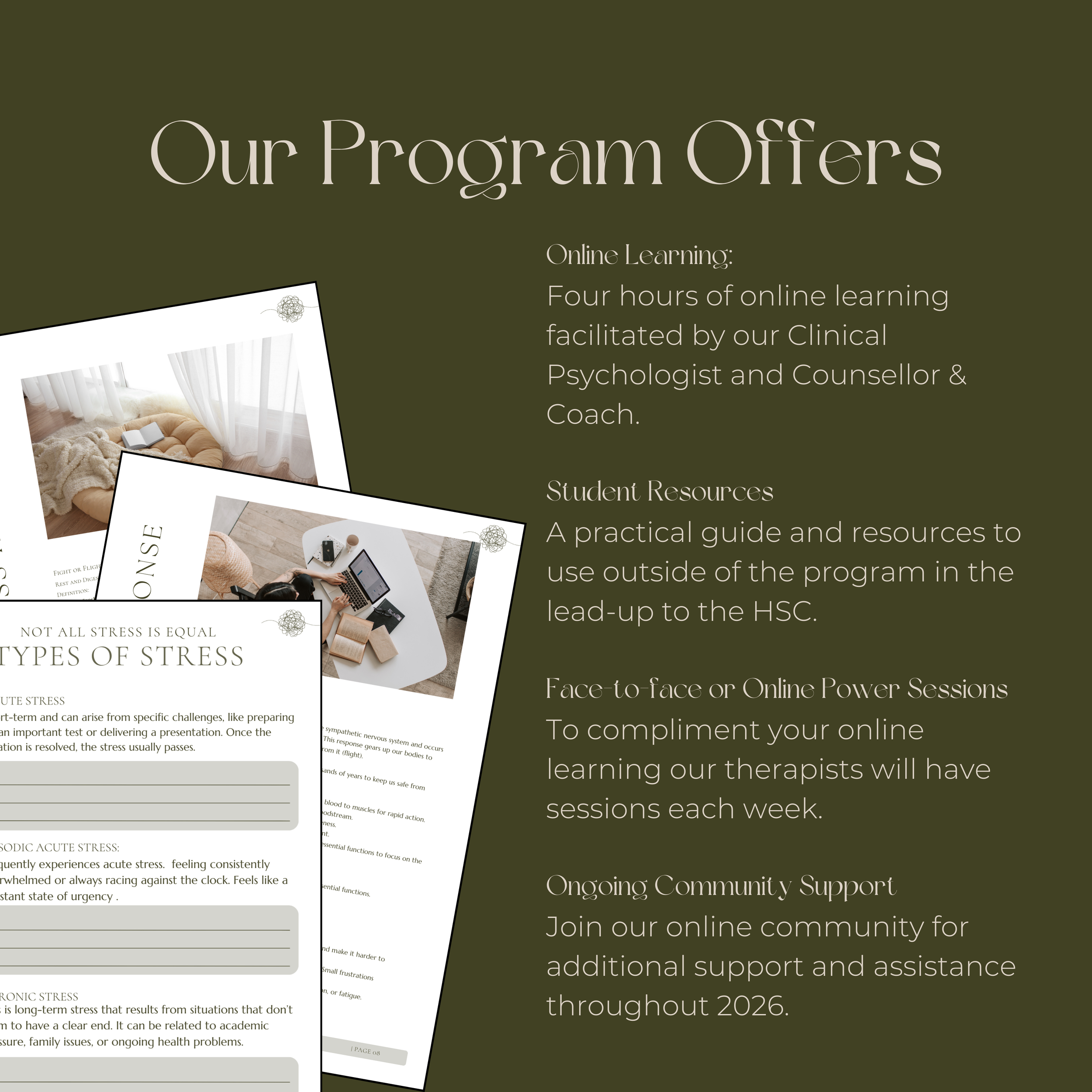A graphic webpage design with the heading 'Our Program Offers' on a dark green background, featuring images of cozy furniture and resources for online learning and community support.