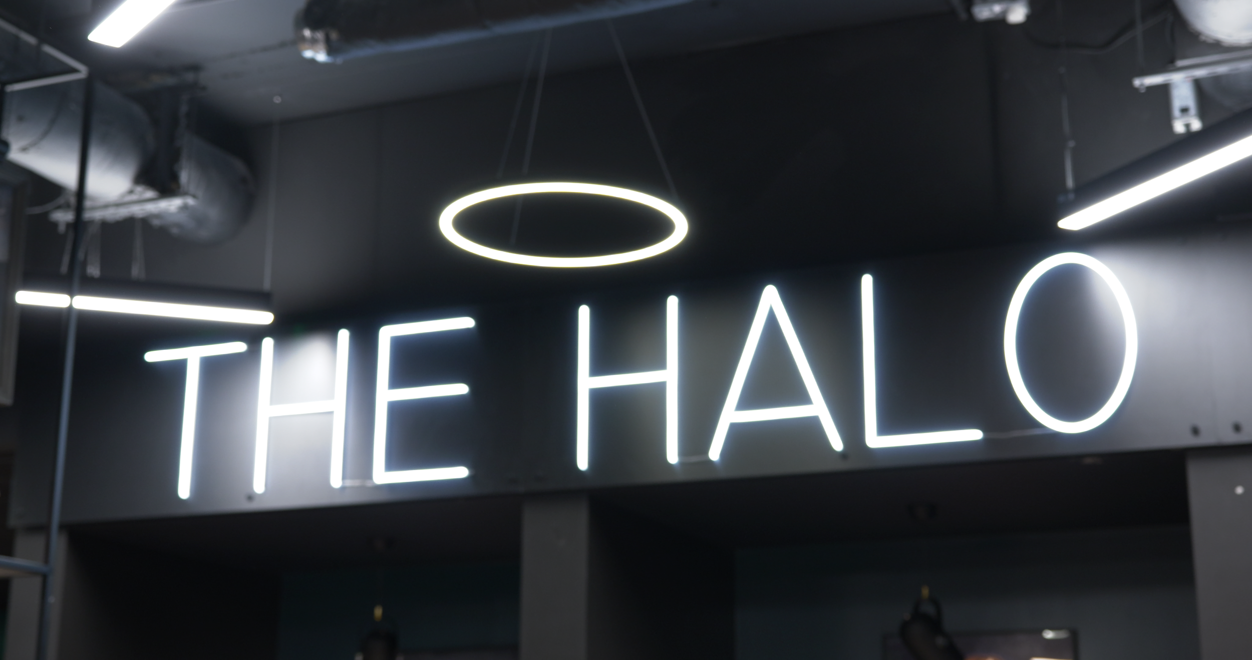 Make the Flip x Halo