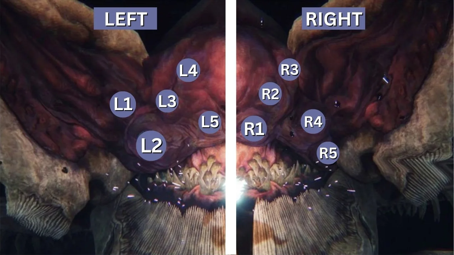 Last Wish Riven Roat Last Wish — ForcedToWipe