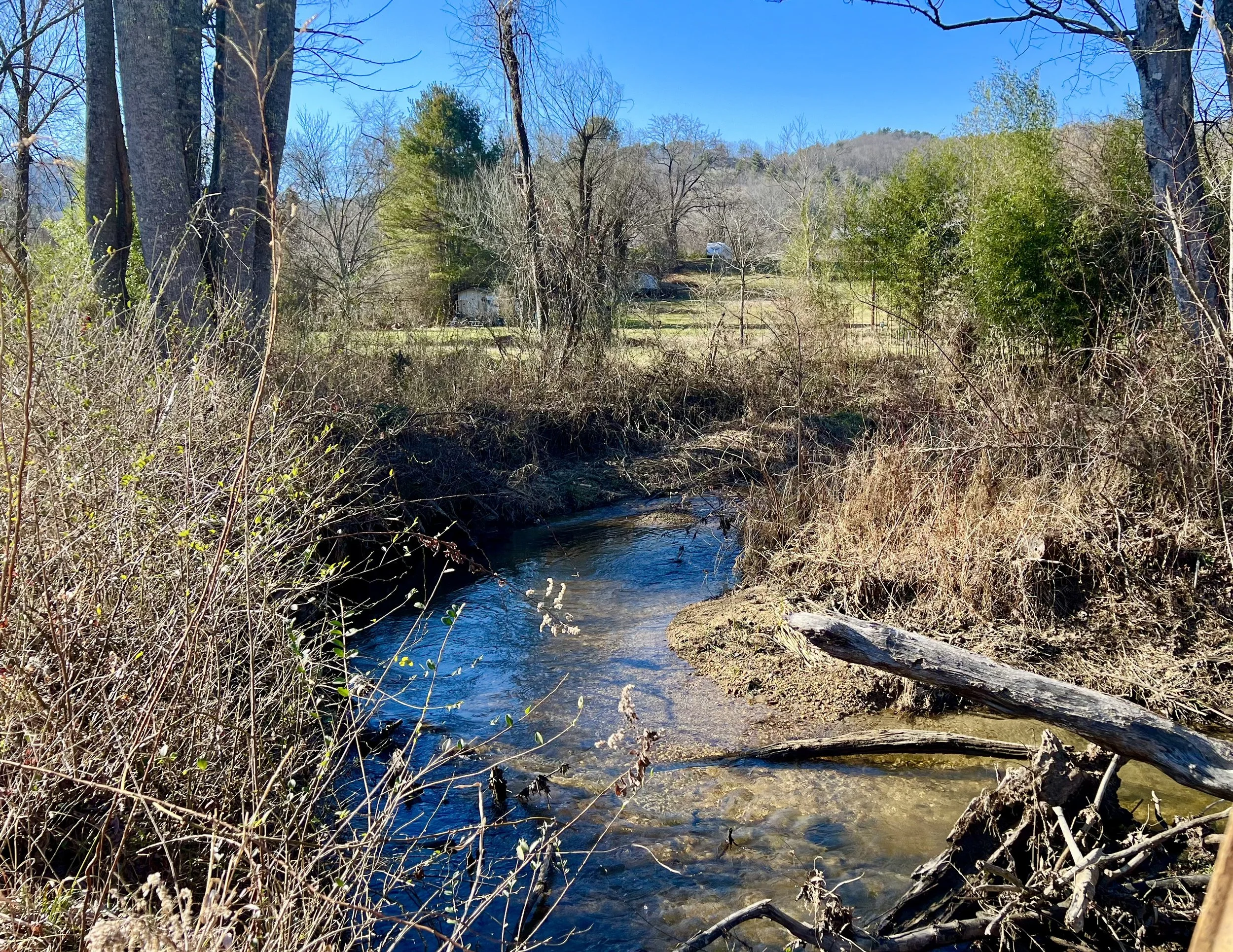 Boylston Creek
