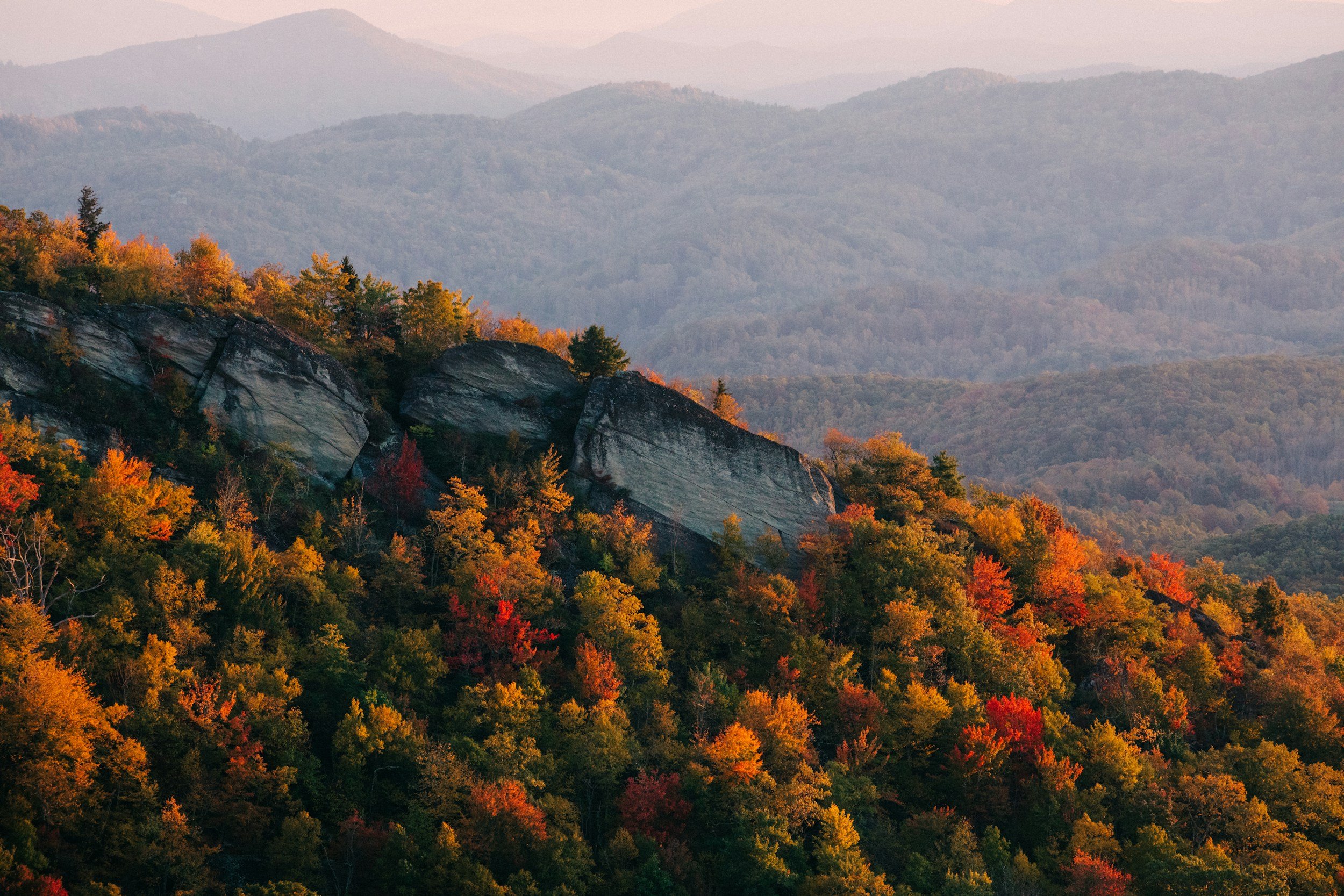 Things to Do This Fall in Brevard &amp; Pisgah Forest: Festivals and Leaves