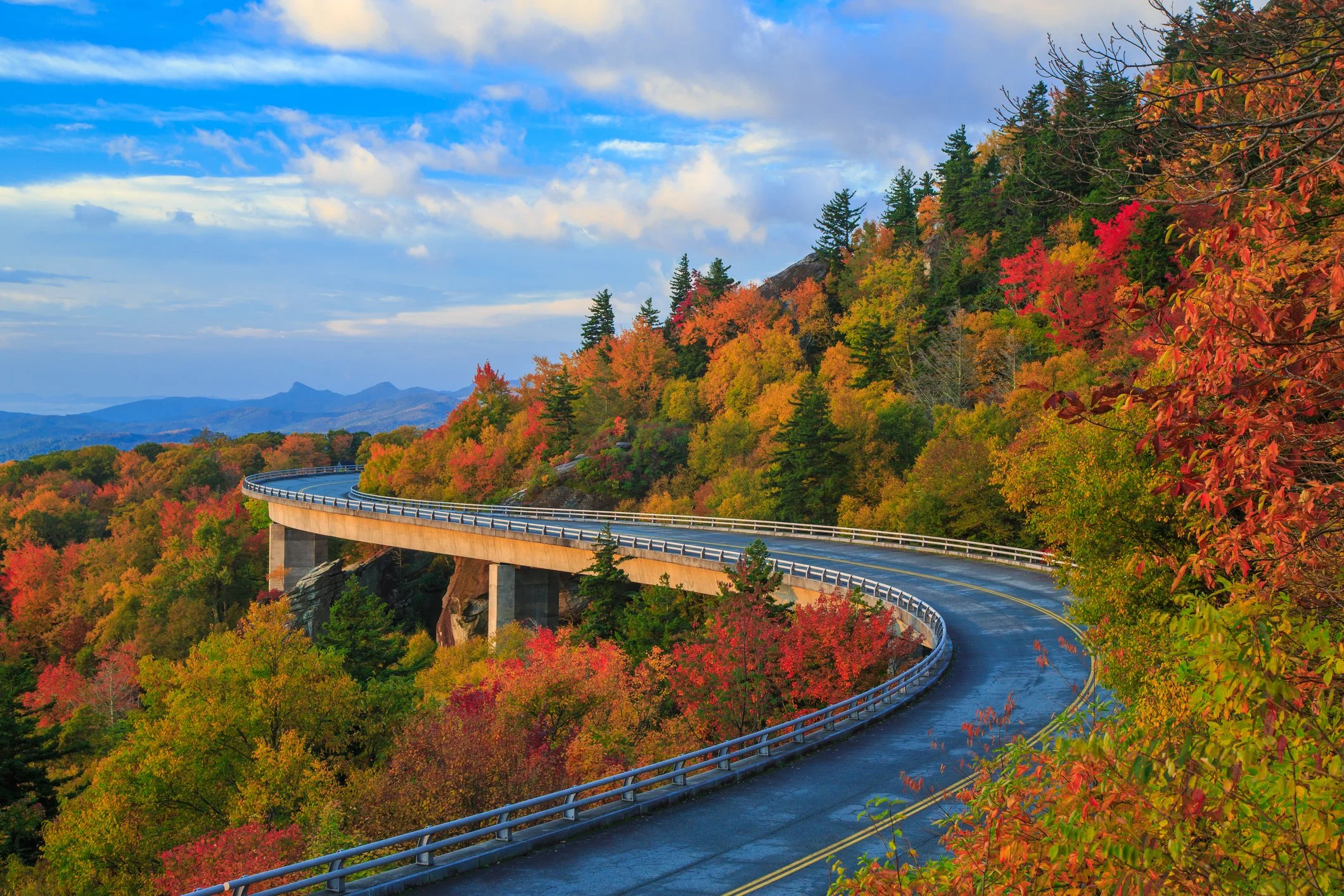 Your fall foliage guide