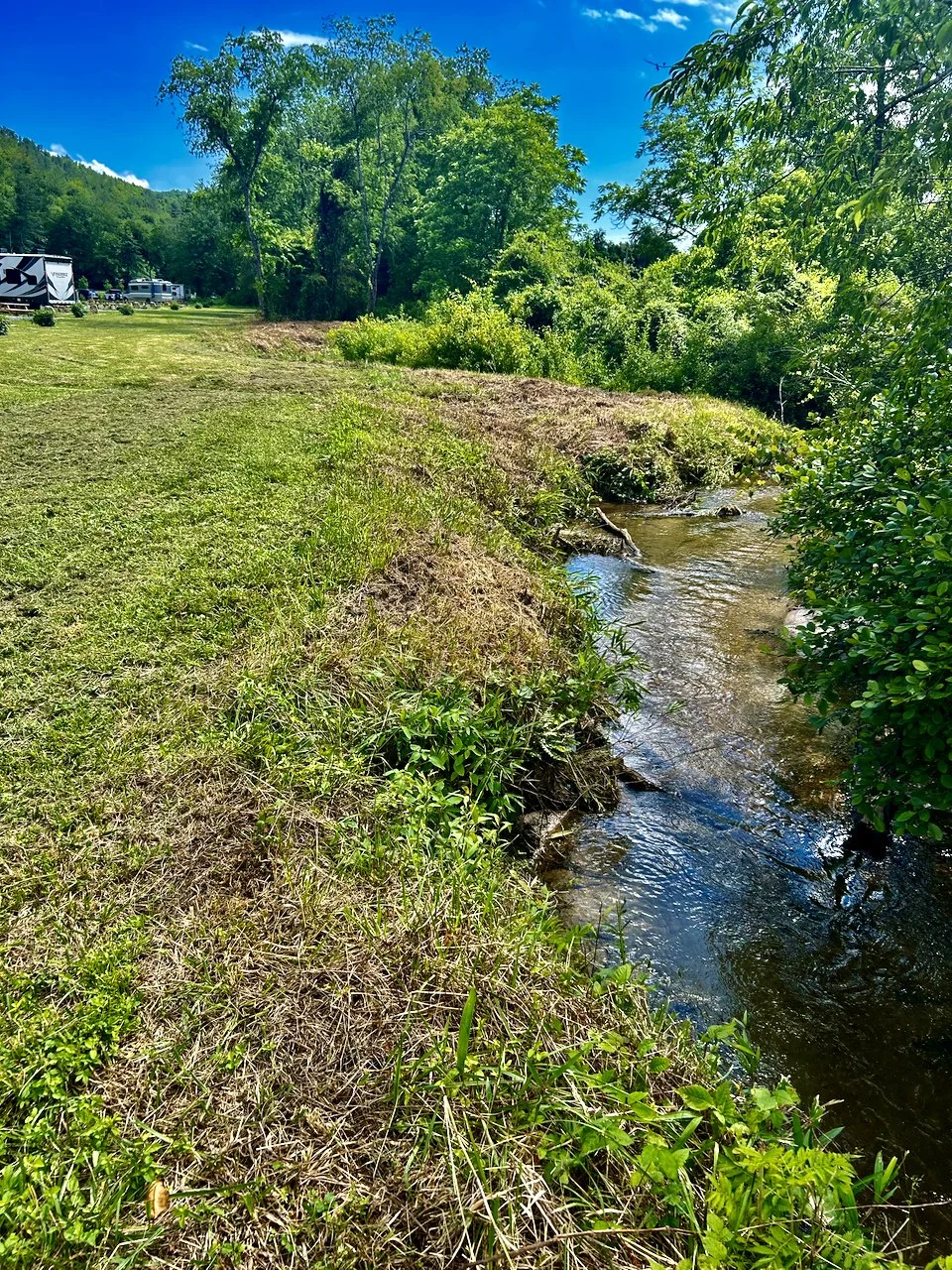 A small stream flowing through a grassy, wooded area with a clear blue sky overhead. RV campers are visible in the background to the left.