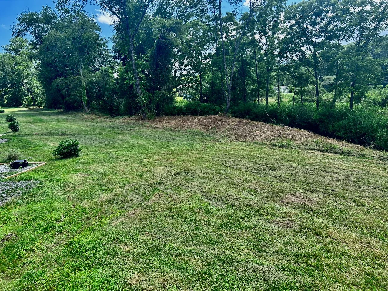 A backyard with freshly cut grass and small shrubs, bordered by a tree line on the right and background.