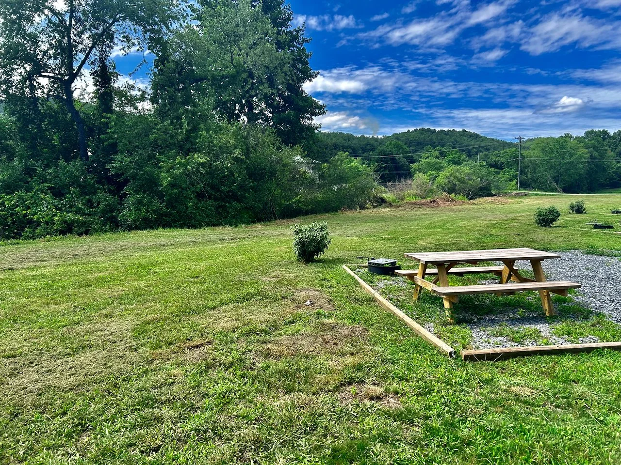 A grassy backyard with a wooden picnic table and a small bush, with trees and a blue sky with clouds in the background.