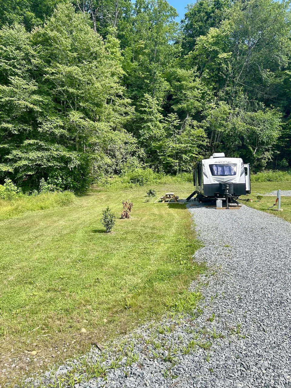 A recreational vehicle parked on a gravel pad beside a grassy area with young plants, backing onto a dense forest of green trees under a sunny sky.