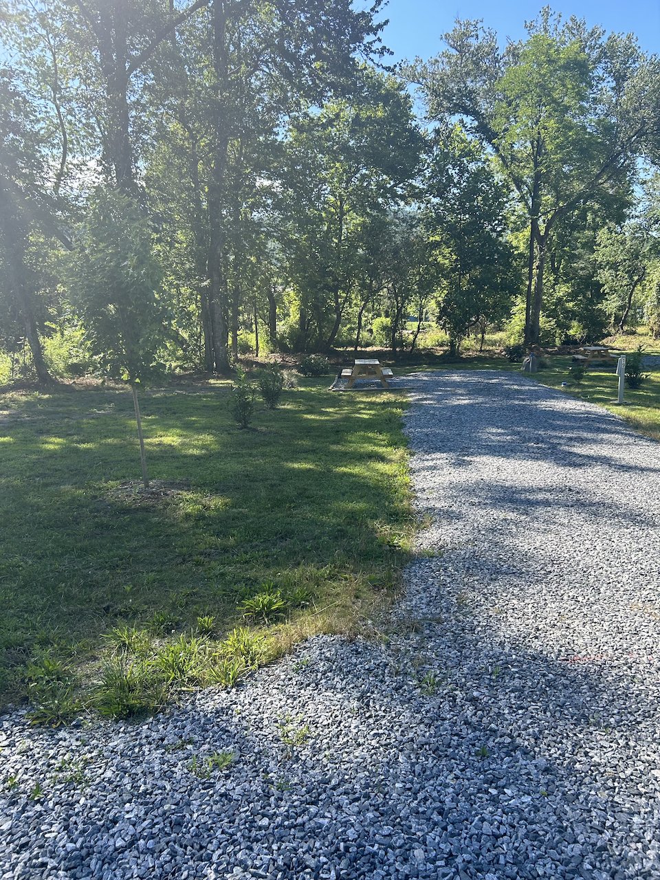 A gravel pathway curves through a green yard with trees in the background on a sunny day.