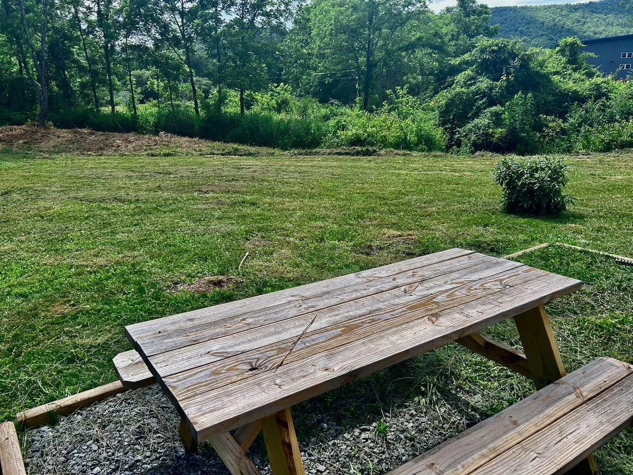 A wooden picnic table in a grassy backyard with trees and bushes in the background, sunny weather, and a building partially visible on the right.