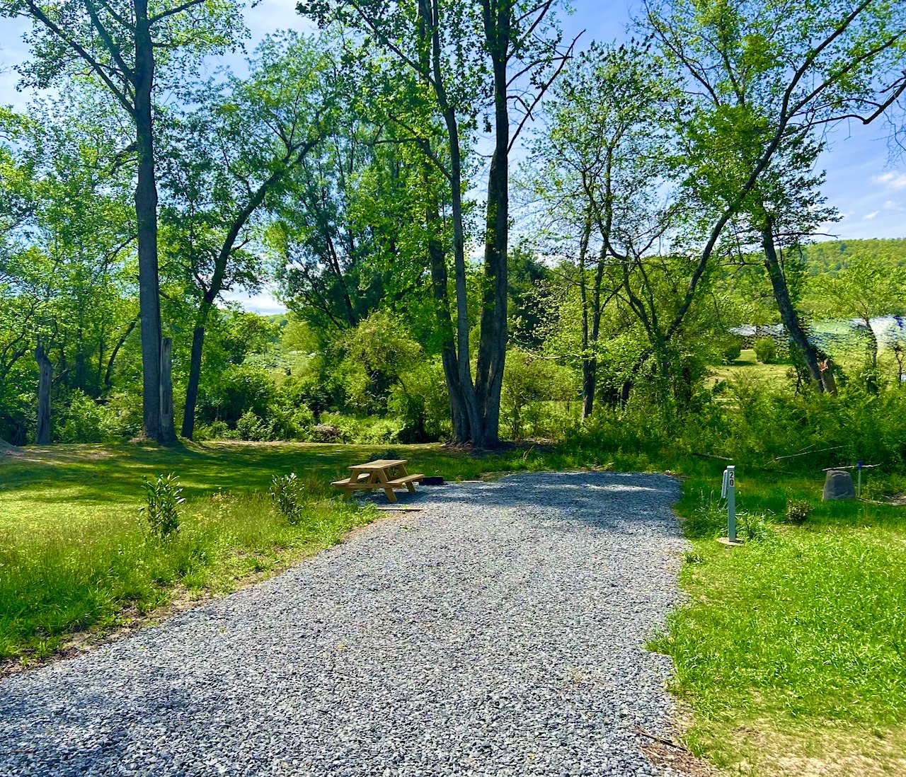 Gravel pathway leading into a lush green park with tall trees, a picnic table on the left side, and green grass on both sides. A small white utility post and a black trash bag are visible on the right side, with trees and a distant hill in the backgr