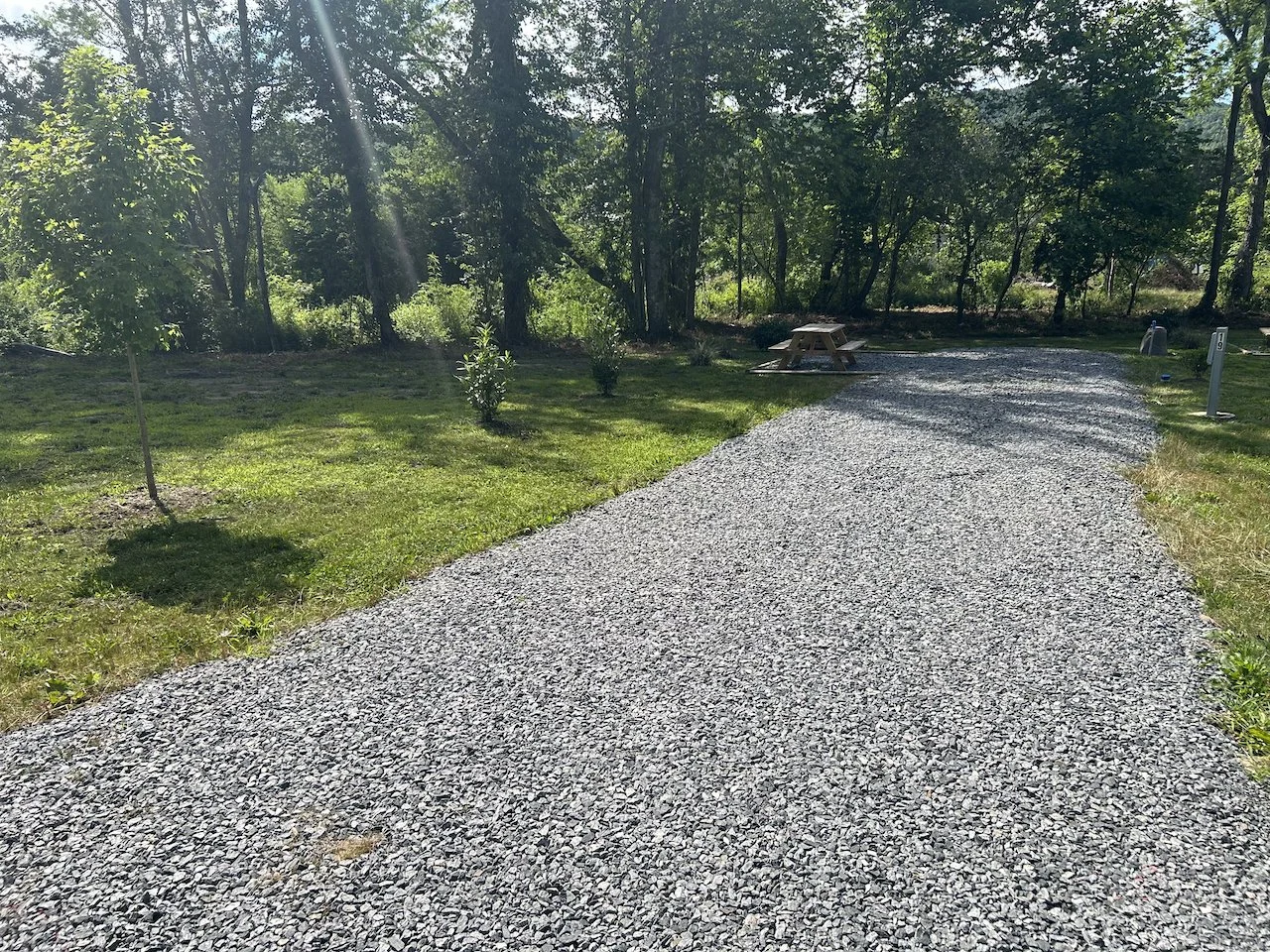 A gravel pathway runs through a grassy area with small trees, surrounded by tall trees in the background. Sunlight filters through the trees, creating a bright, outdoor scene.