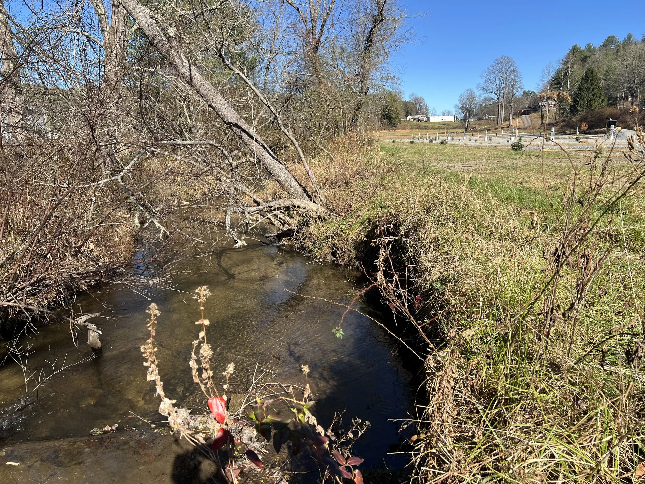 A small creek running through a grassy area with trees and bushes on the banks, and a clear blue sky overhead.