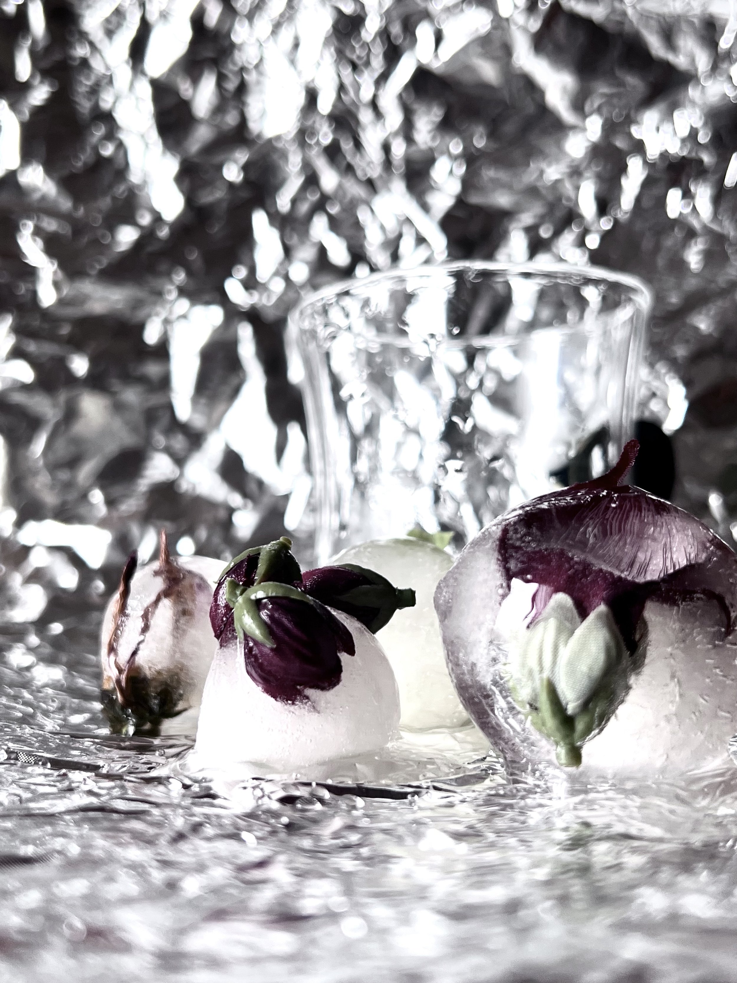 Flowers_in_Ice_2.jpg