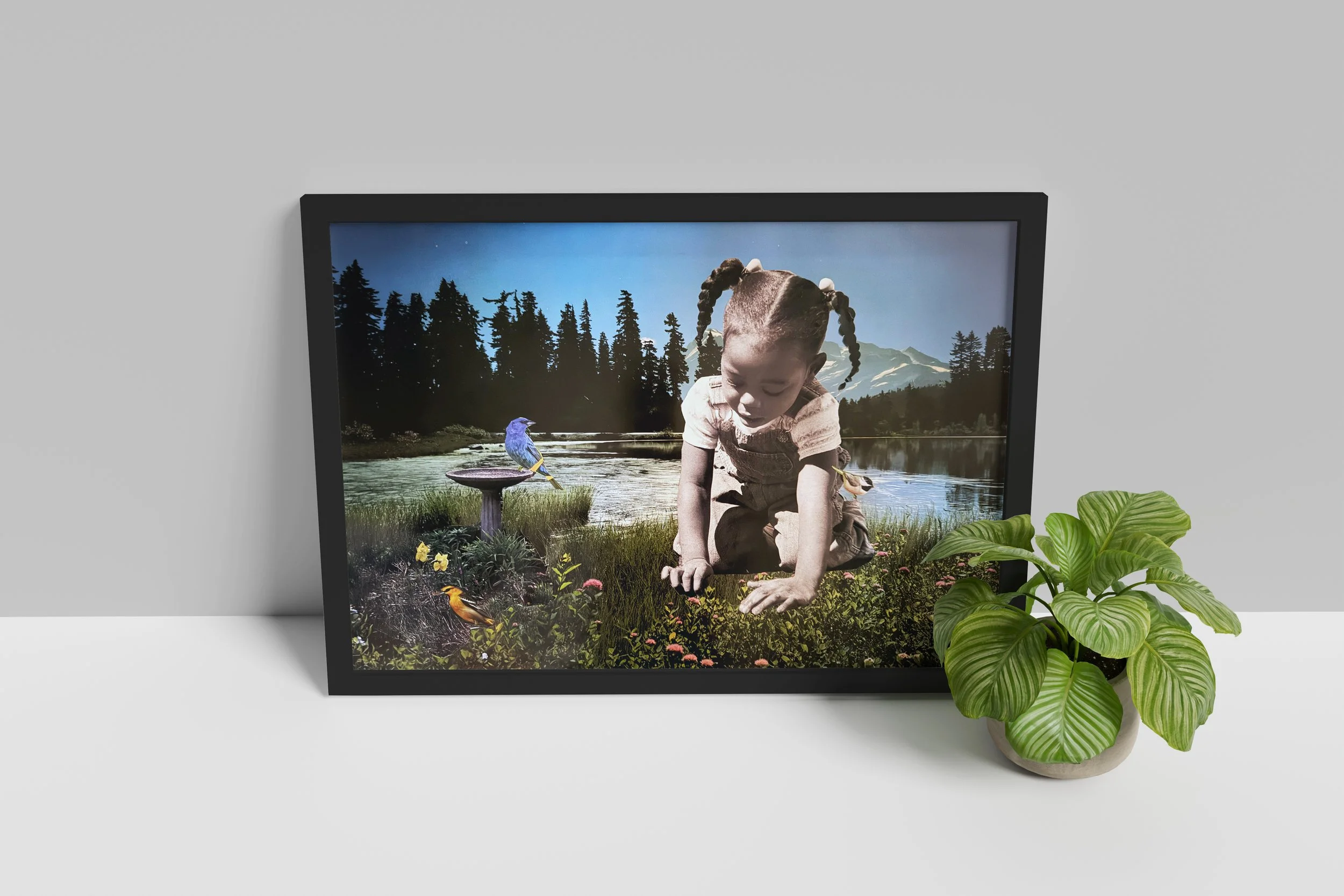 Flower_Garden_V3.jpg