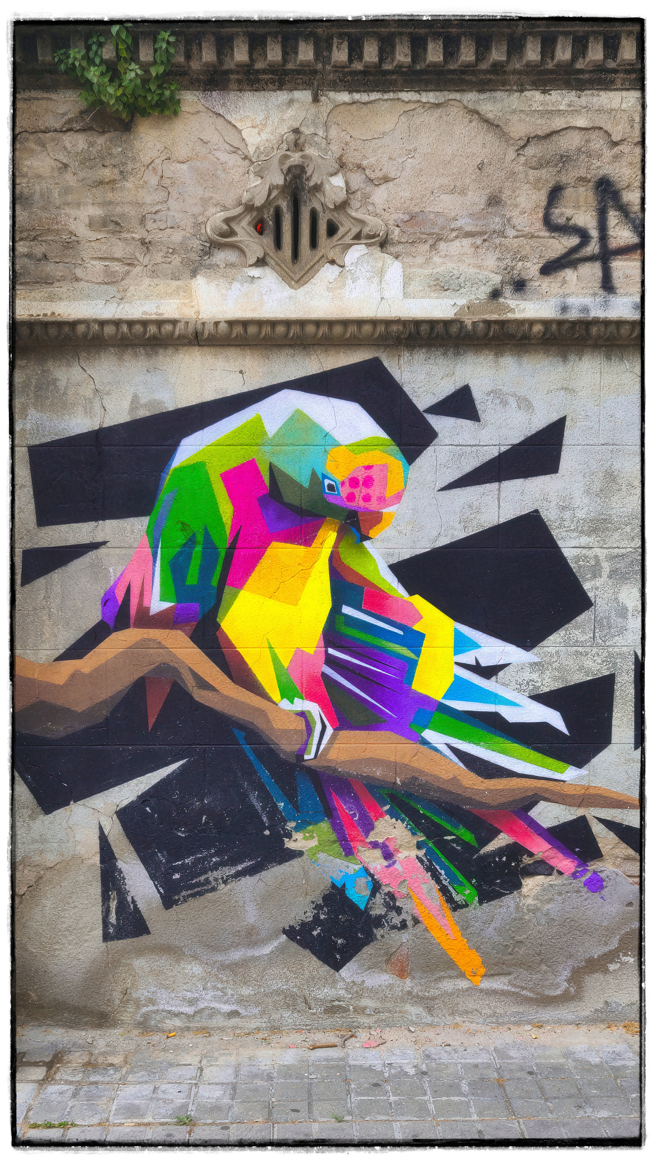 Week 10: Graffiti