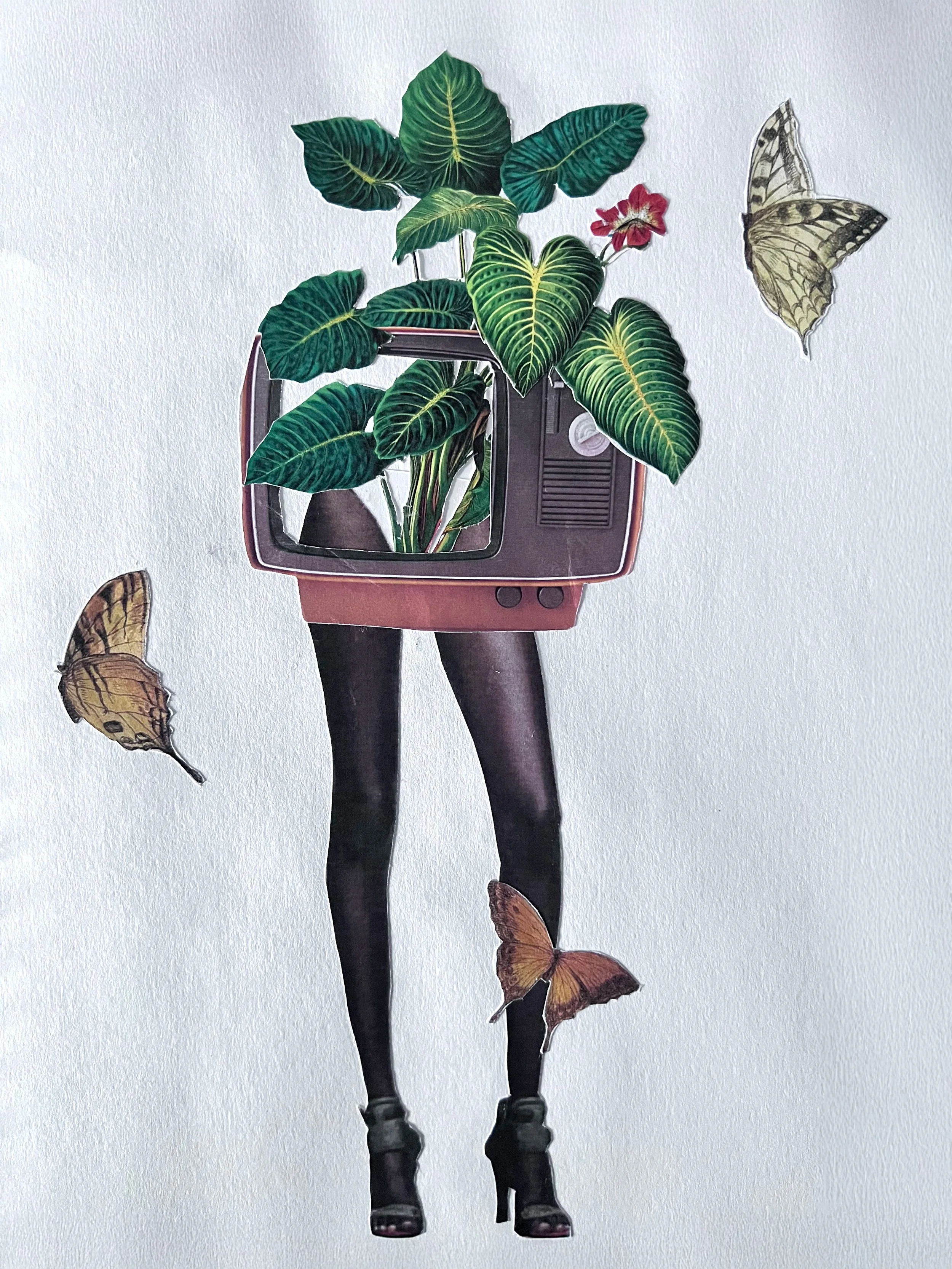 Photo Aug 17 2025, 10 46 35 AM.jpg