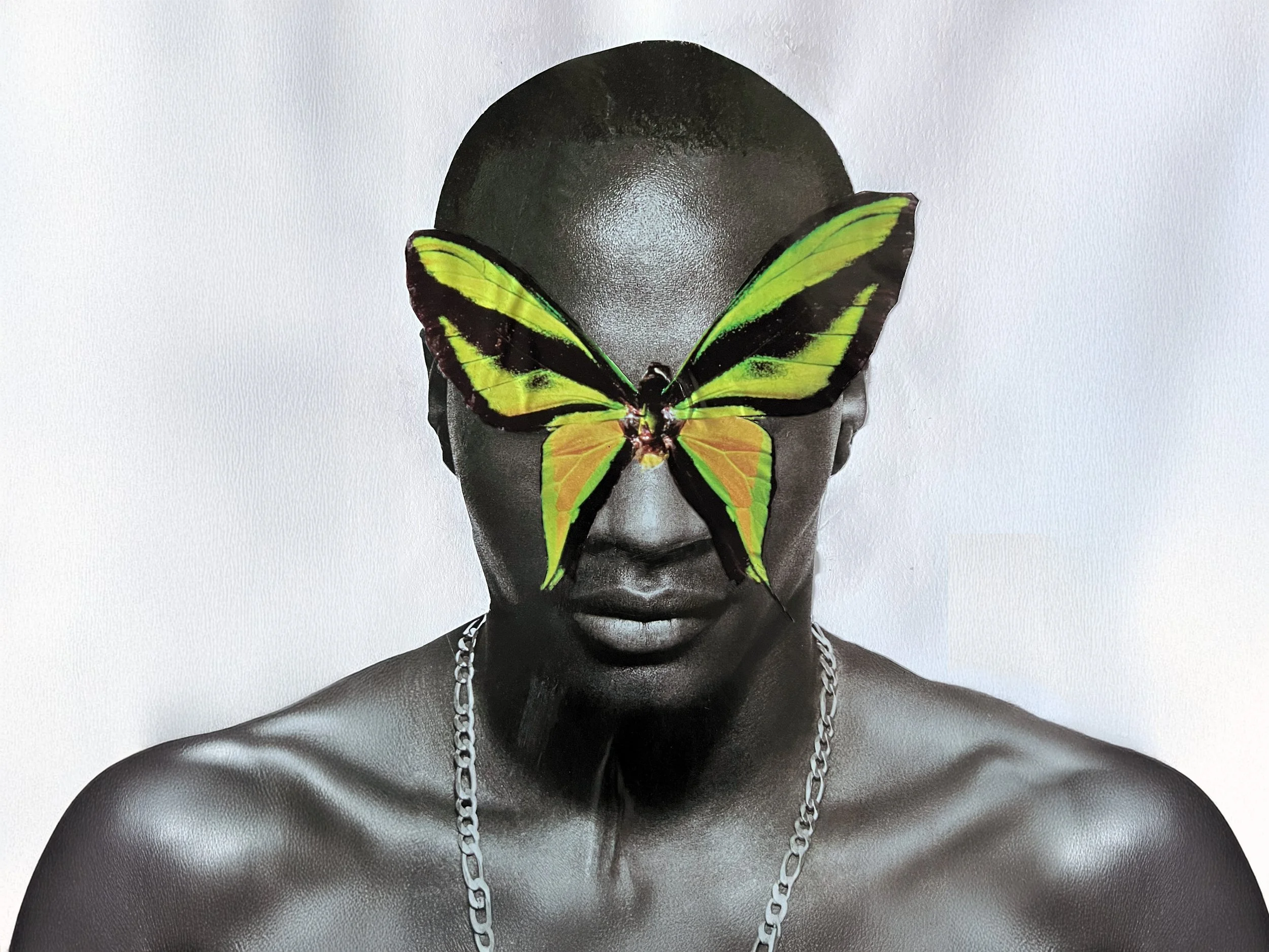 Black Butterfly - Calendar.jpg