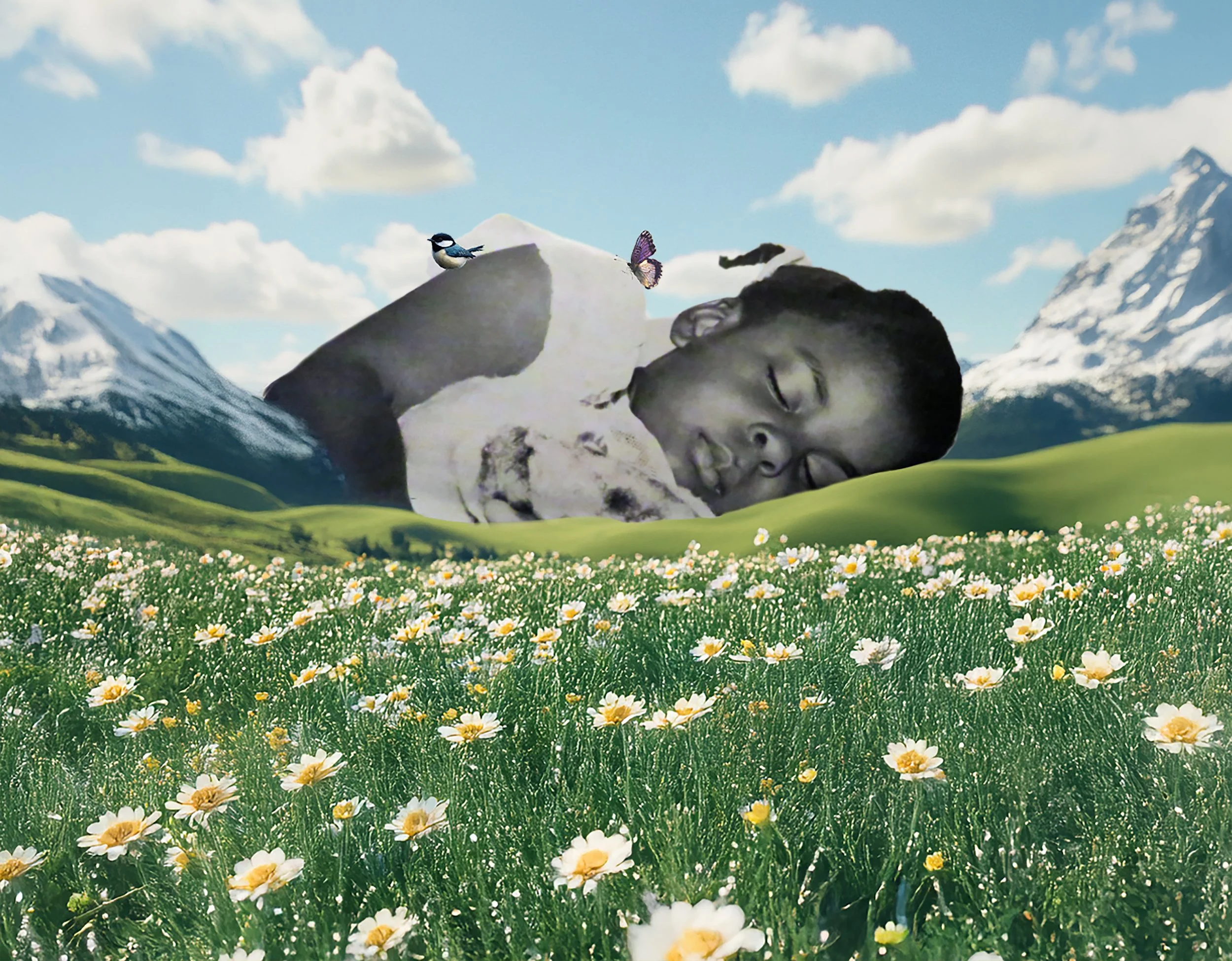 Collage_Sleepy_Mountain copy.jpg