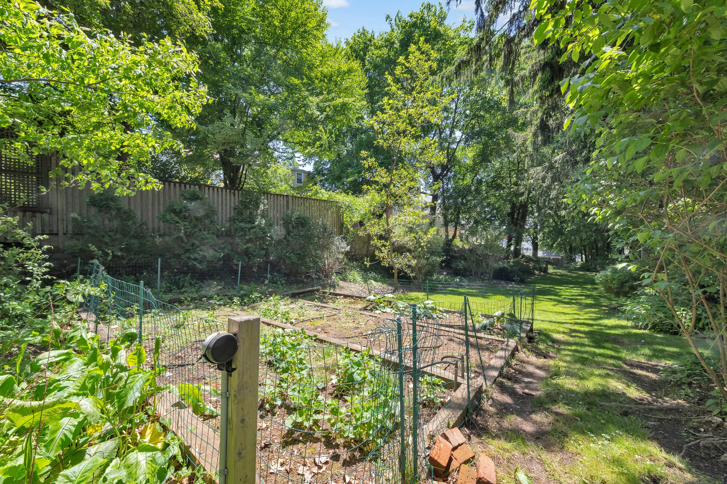 69 Edmund Road, Arlington, MA-11.jpg