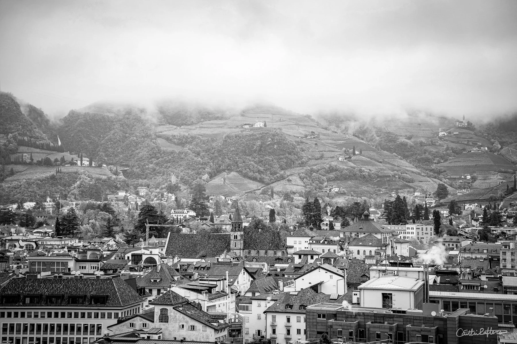 Birdlike Bolzano_BW.jpg
