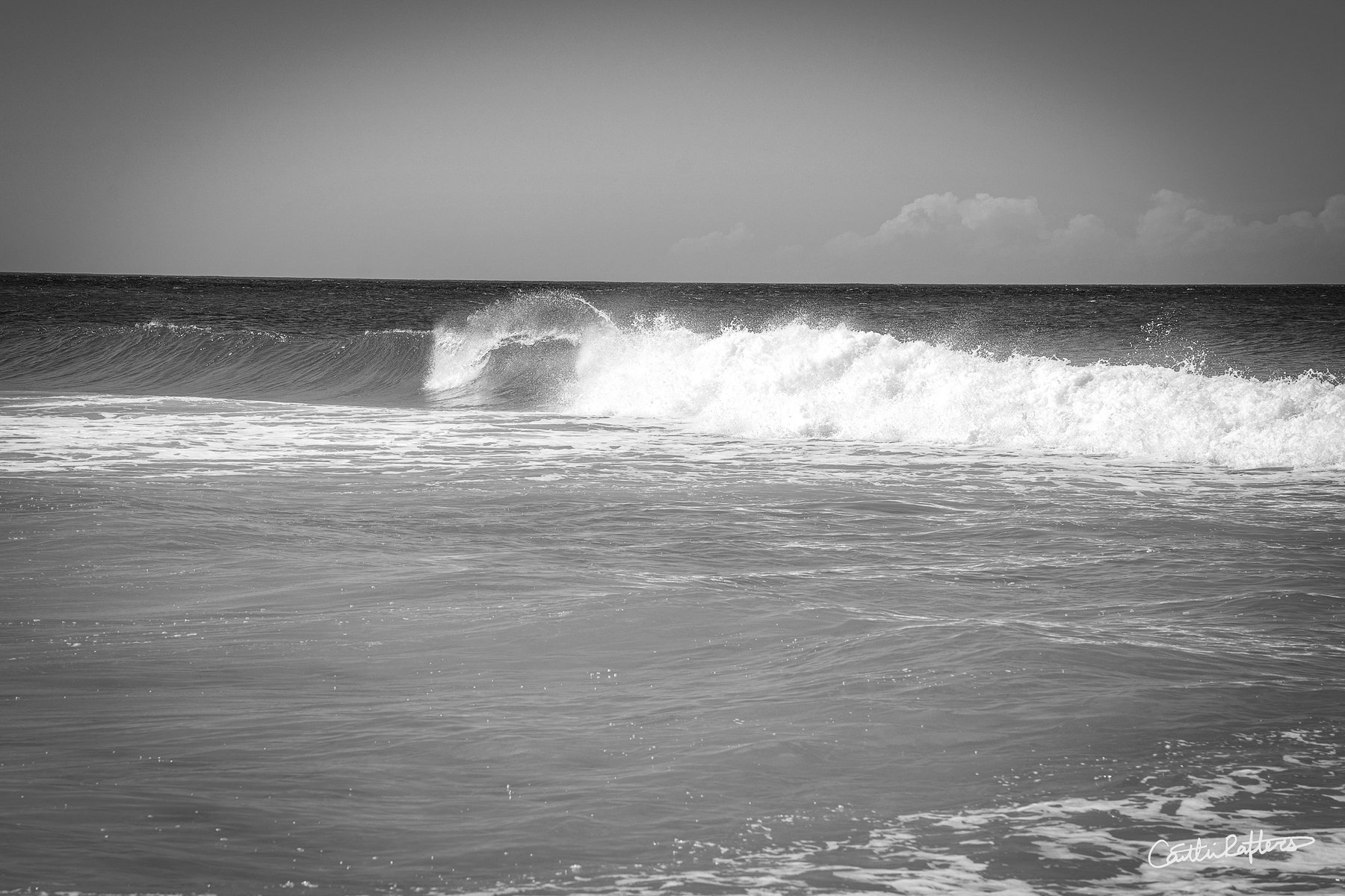 Aloha Waves_BW.jpg