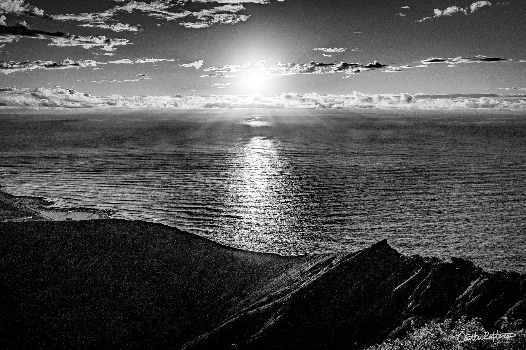 Motion in Stillness_BW.jpg