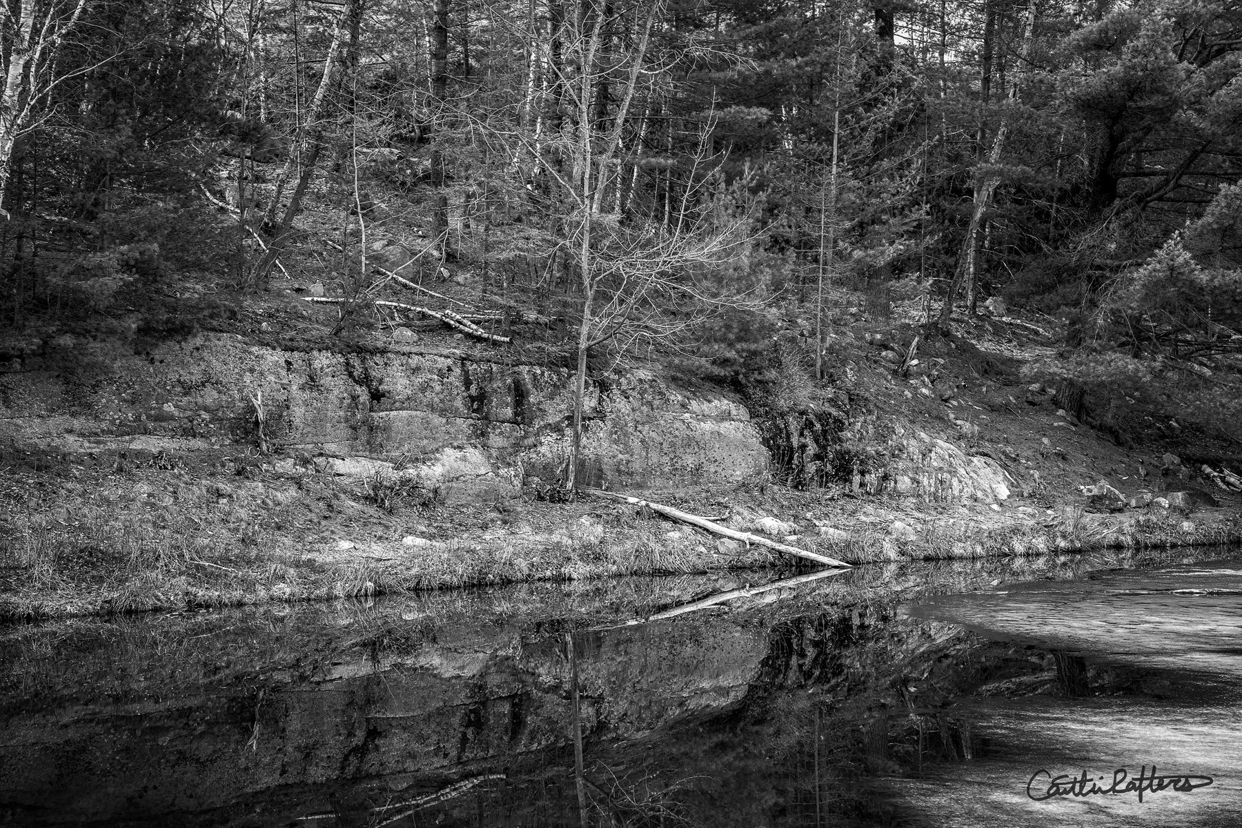 Pursuing Slowly_BW.jpg