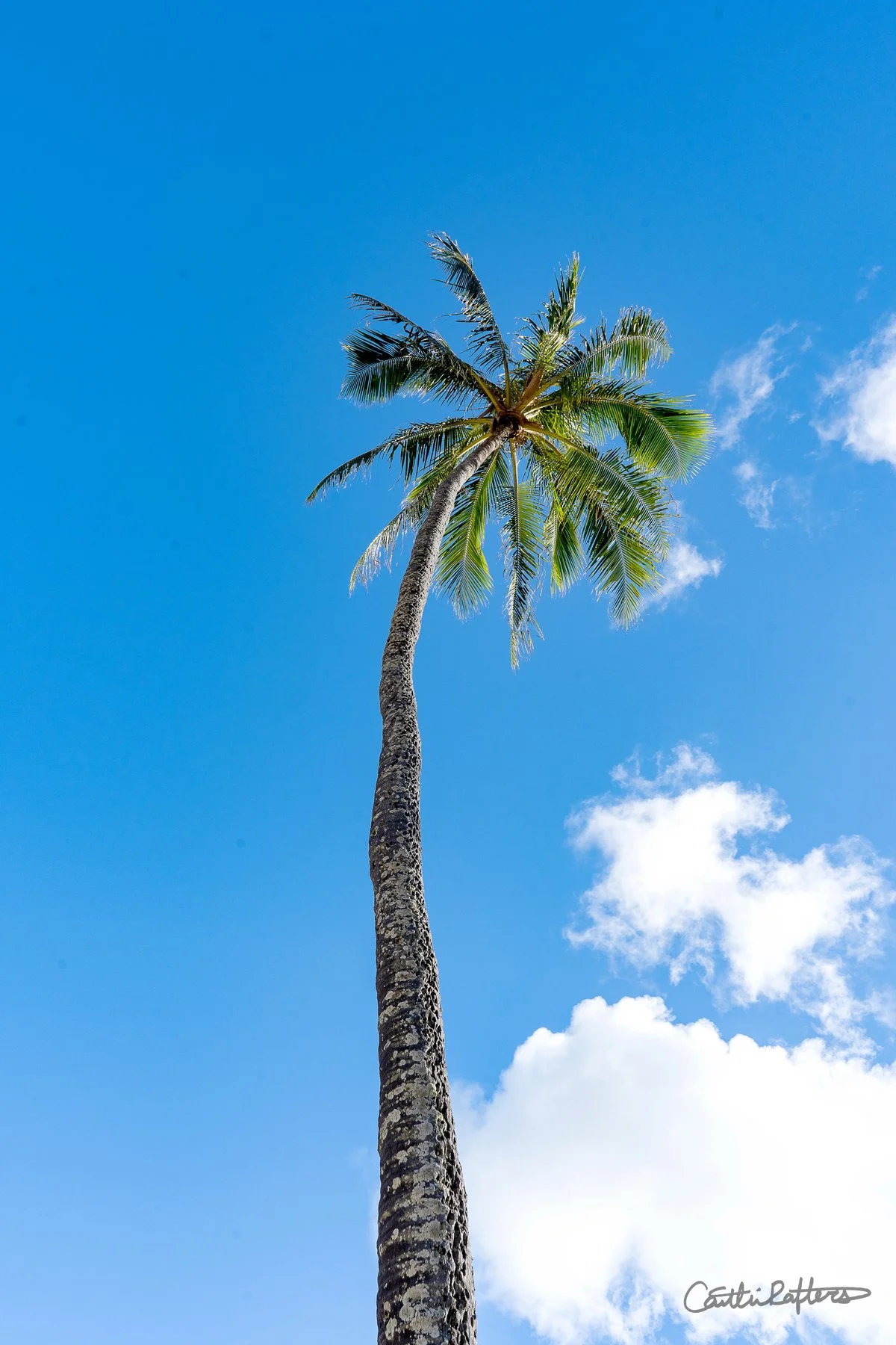 Content Independence.jpg